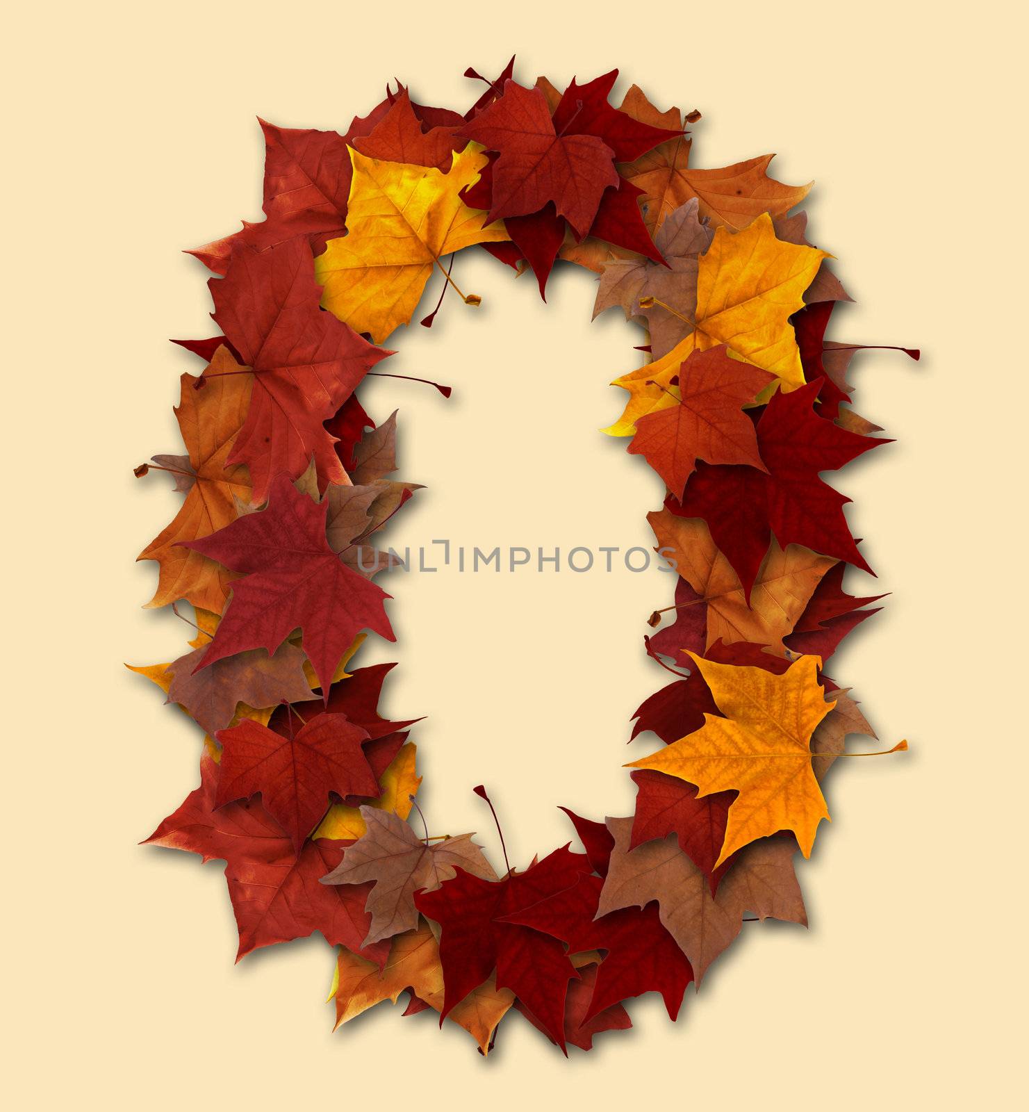 Number 0 drop shadow made with autumn leaves Isolated with clipping path, so you can easily cut it out and place over the top of a design. Find others types in our portfolio to compose your own words.