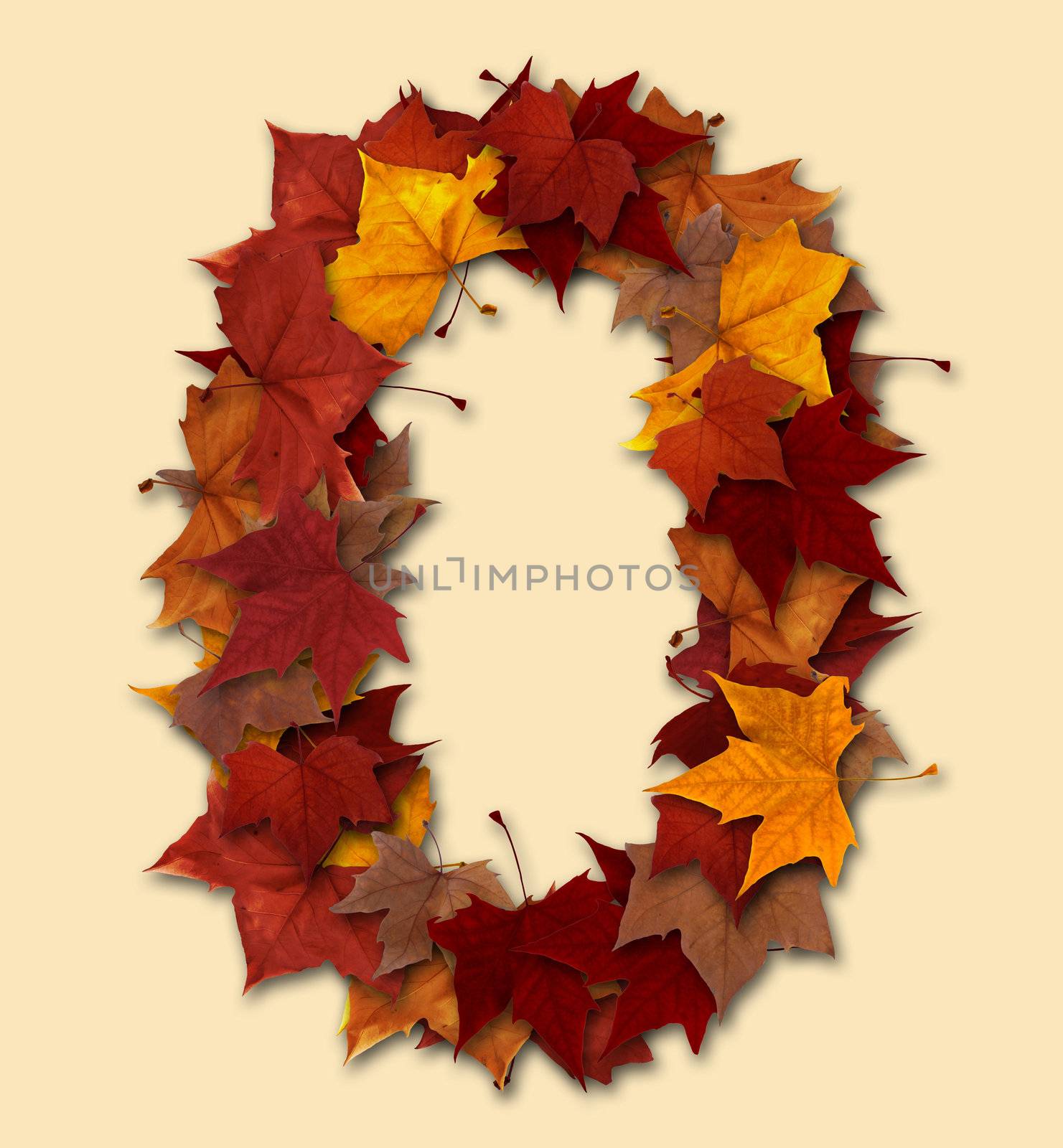 Number zero multicolored fall leaf composition isolated by cienpies