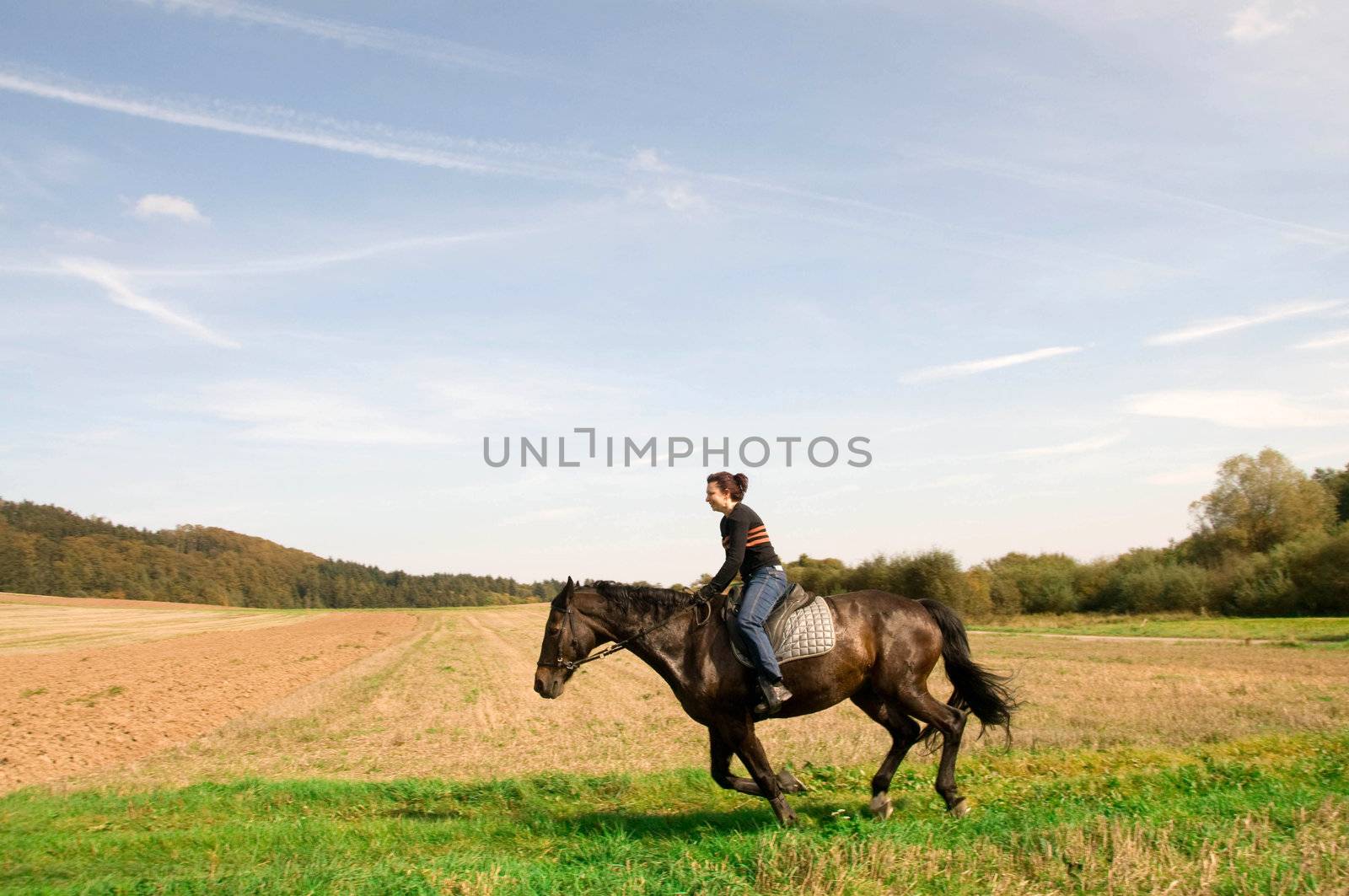 Equestrienne gallops on hillside. by murysia