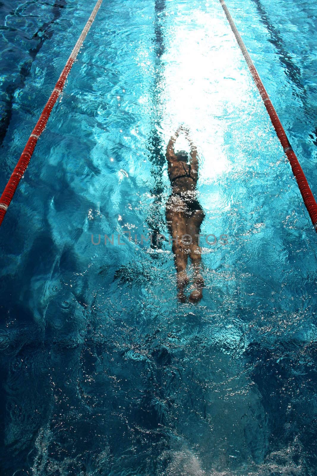 Swimmer in a swimming pool on a hot day