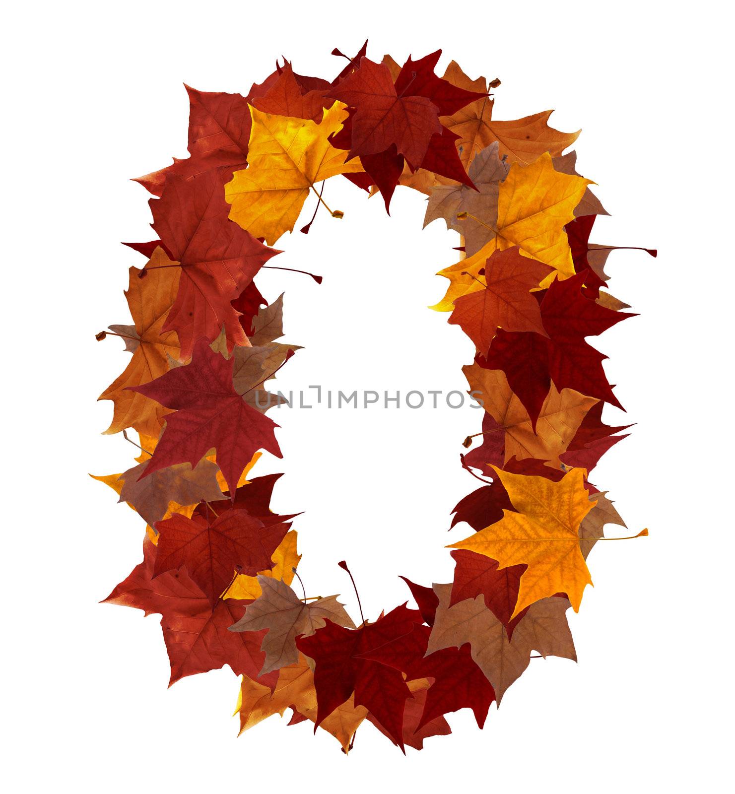 Number zero made with autumn leaves isolated on white with clipping path. So you can easily cut it out and place over the top of a design. Find others symbols in our portfolio to compose your own words.