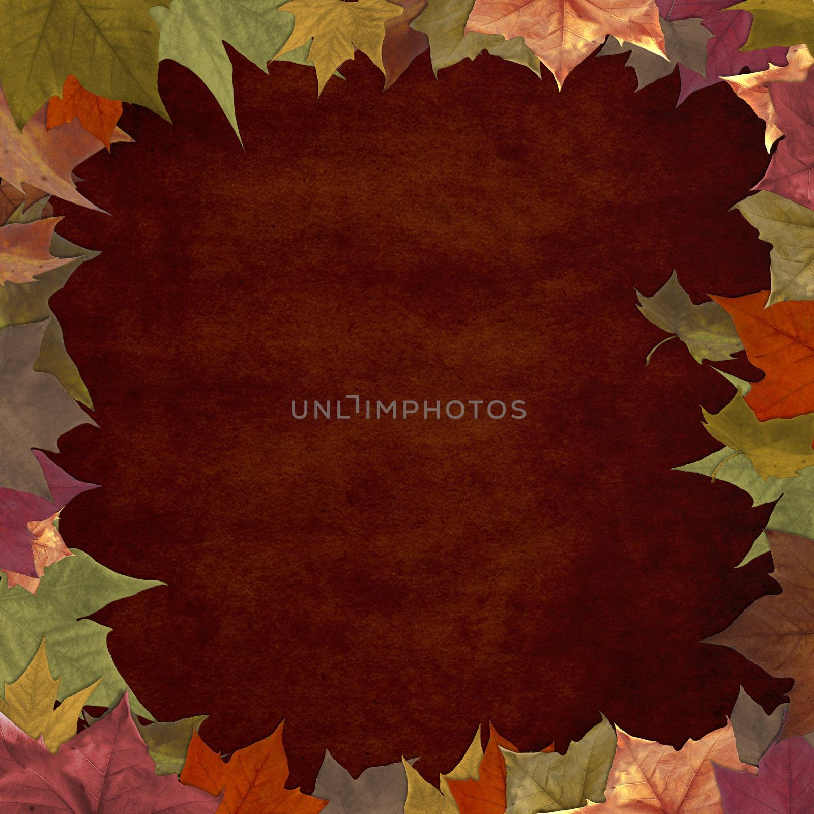 Autumn leaves grunge frame background by cienpies