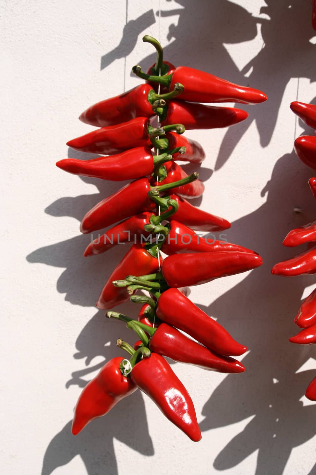 red peppers bunch drying on a wall