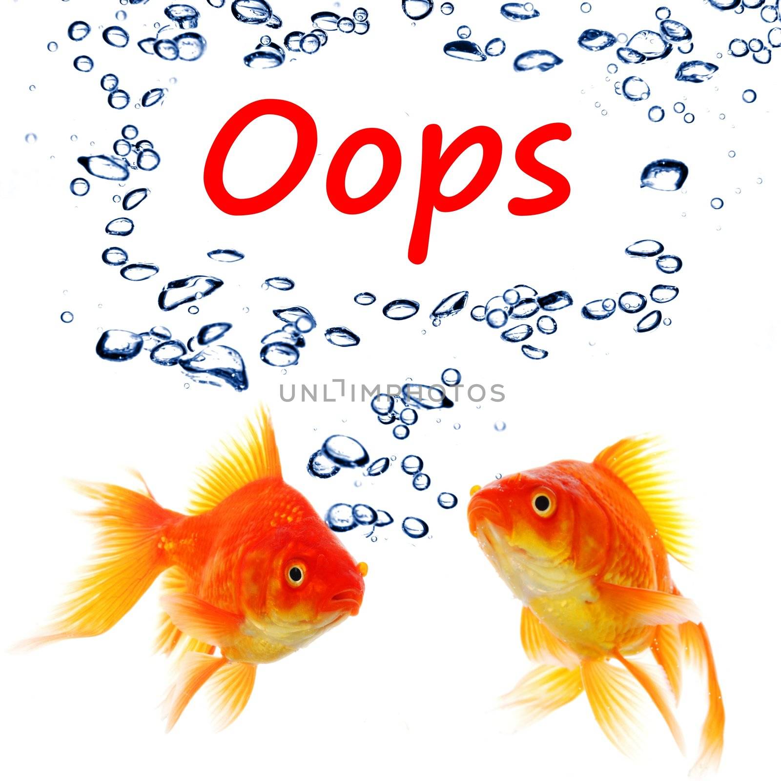 oops word and goldfish showing accident failure or danger danger warning concept