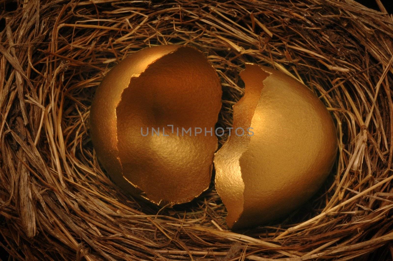 A cracked golden nest egg. Could symbolize threatened financial threat or disaster.