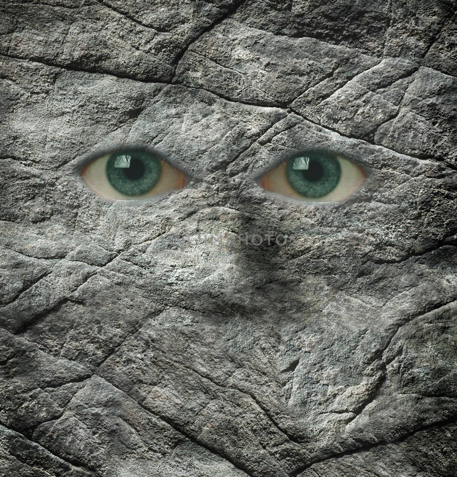 A face made of rock and human eyes
