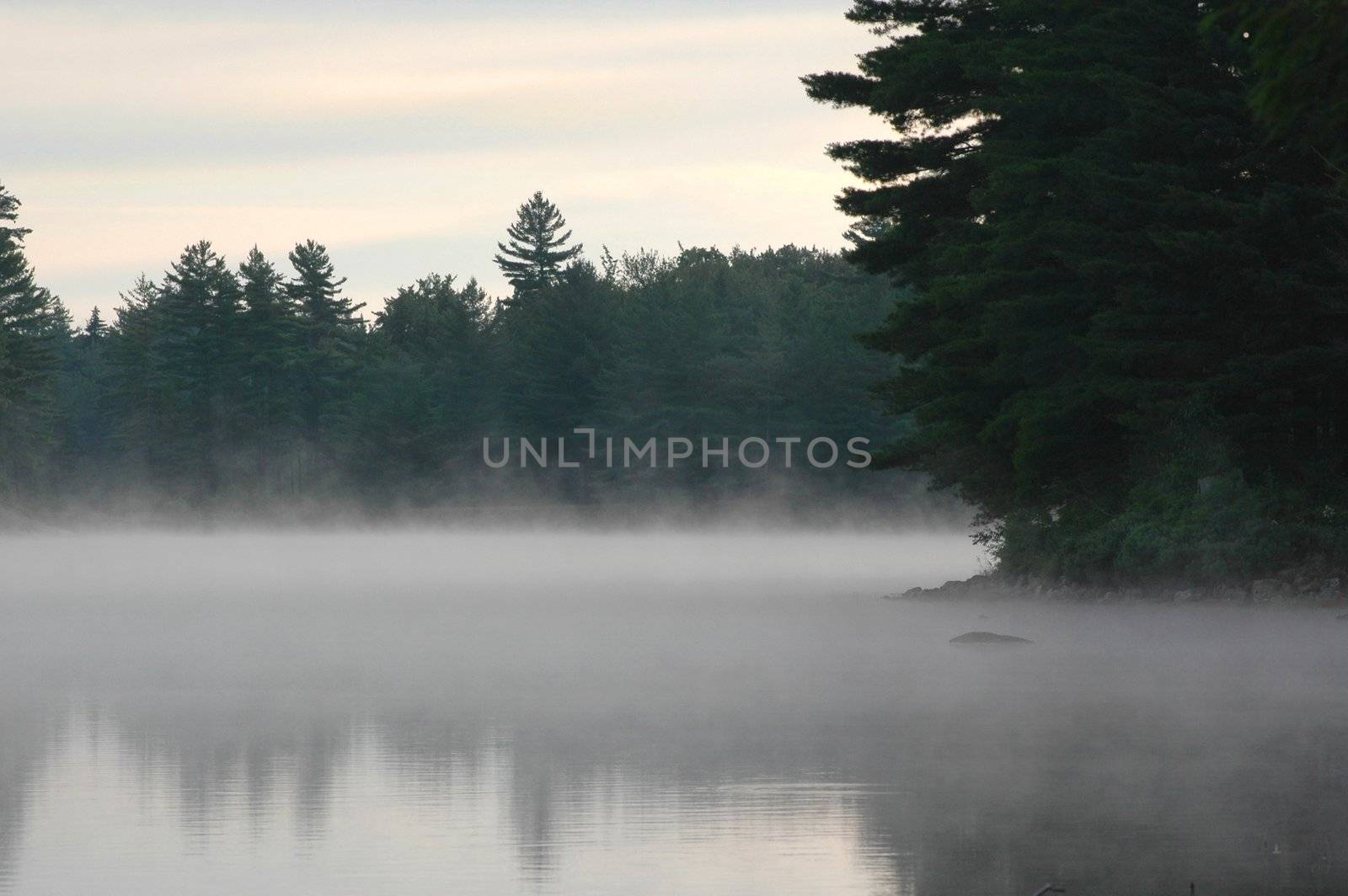 Mist rising from a lake in the morning wilderness