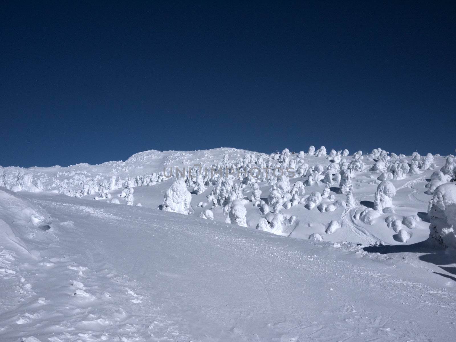 ski mountain by seattlephoto