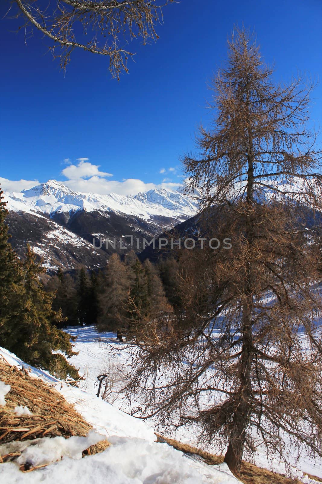 View of the Alps by beautiful sunny winter day, Switzerland