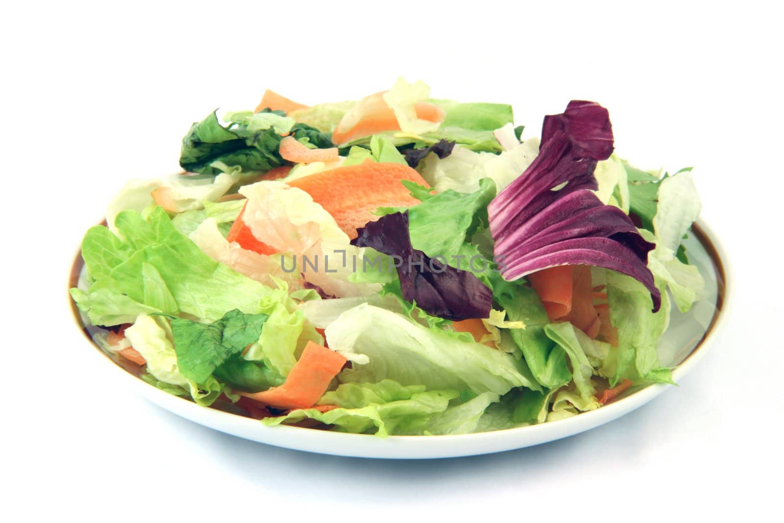 healthy eating green salad isolated on white backround food concepts