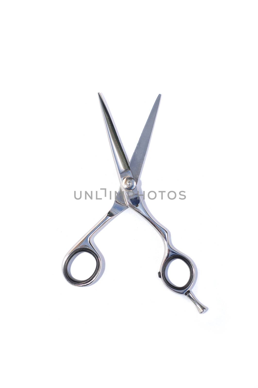 Scissors isolated by Editorial