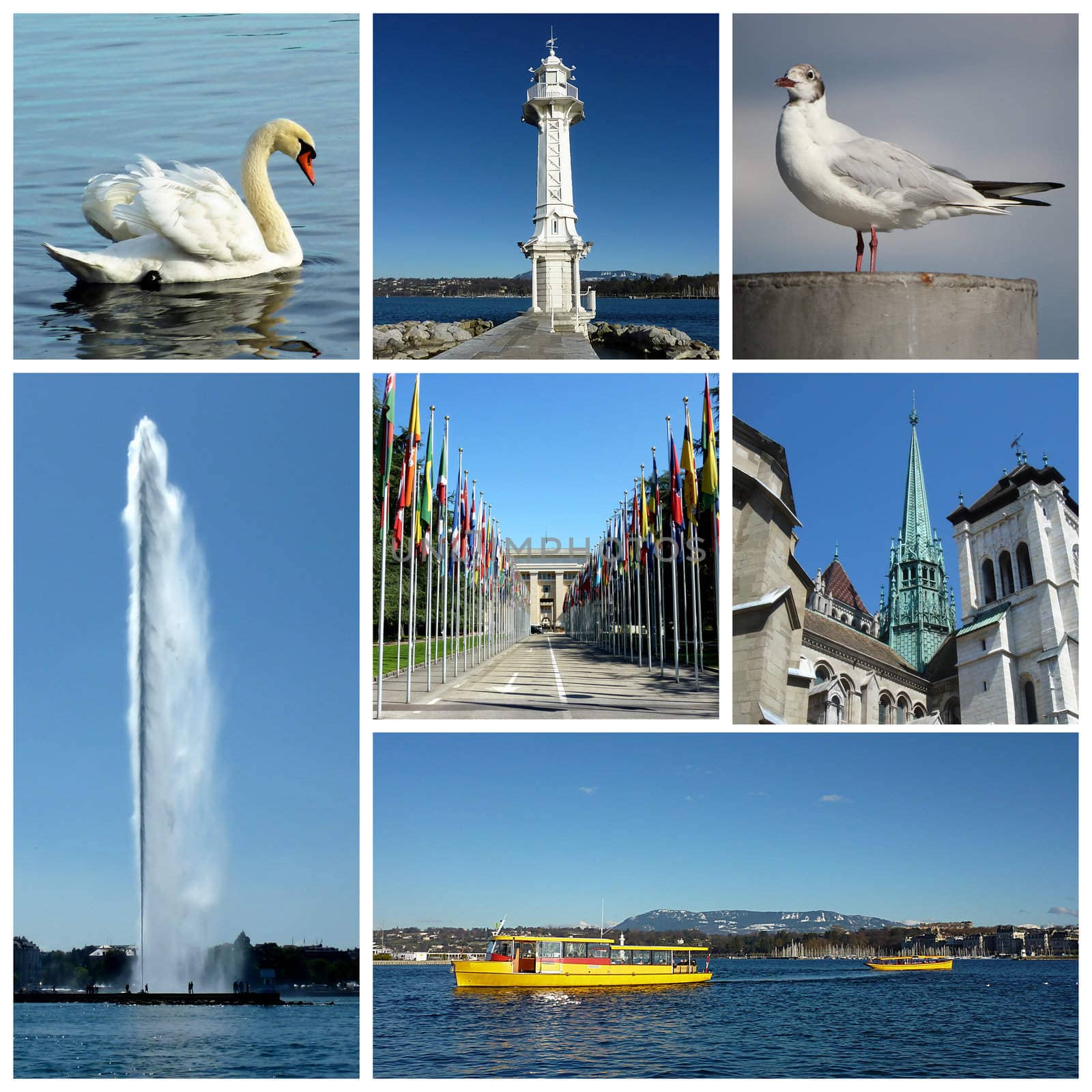 Swan, seagull, lighthouse, onu, Saint-Pierre cathedral, yellow boats and fountain for Geneva, Switzerland collage
