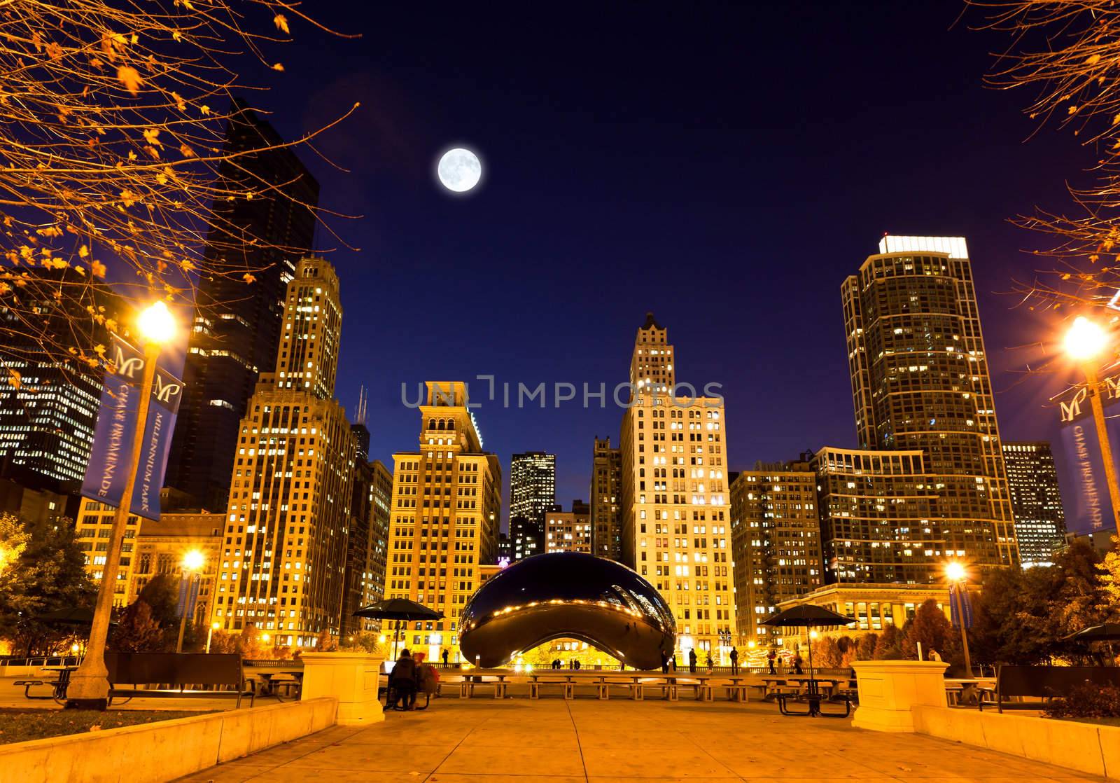  Millennium Plaza in Downtown, Chicago. The amazing night view of the light and reflection of Chicago Skyline