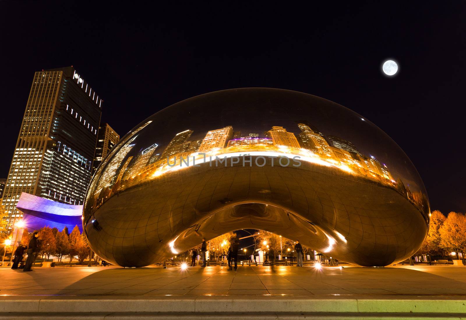  Millennium Plaza in Downtown, Chicago. The amazing night view of the light and reflection of Chicago Skyline