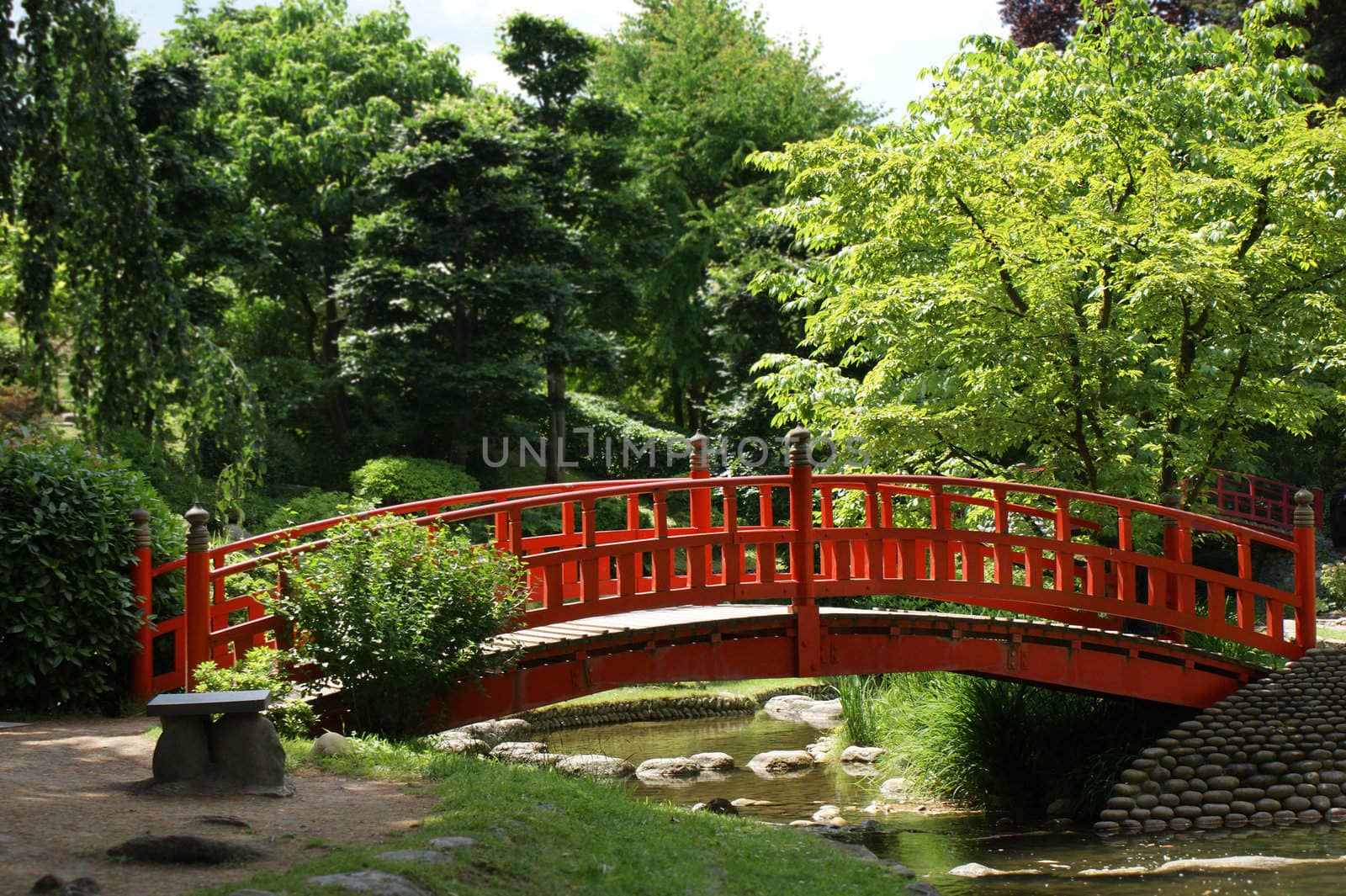 Red bridge in a japanese garden by daboost