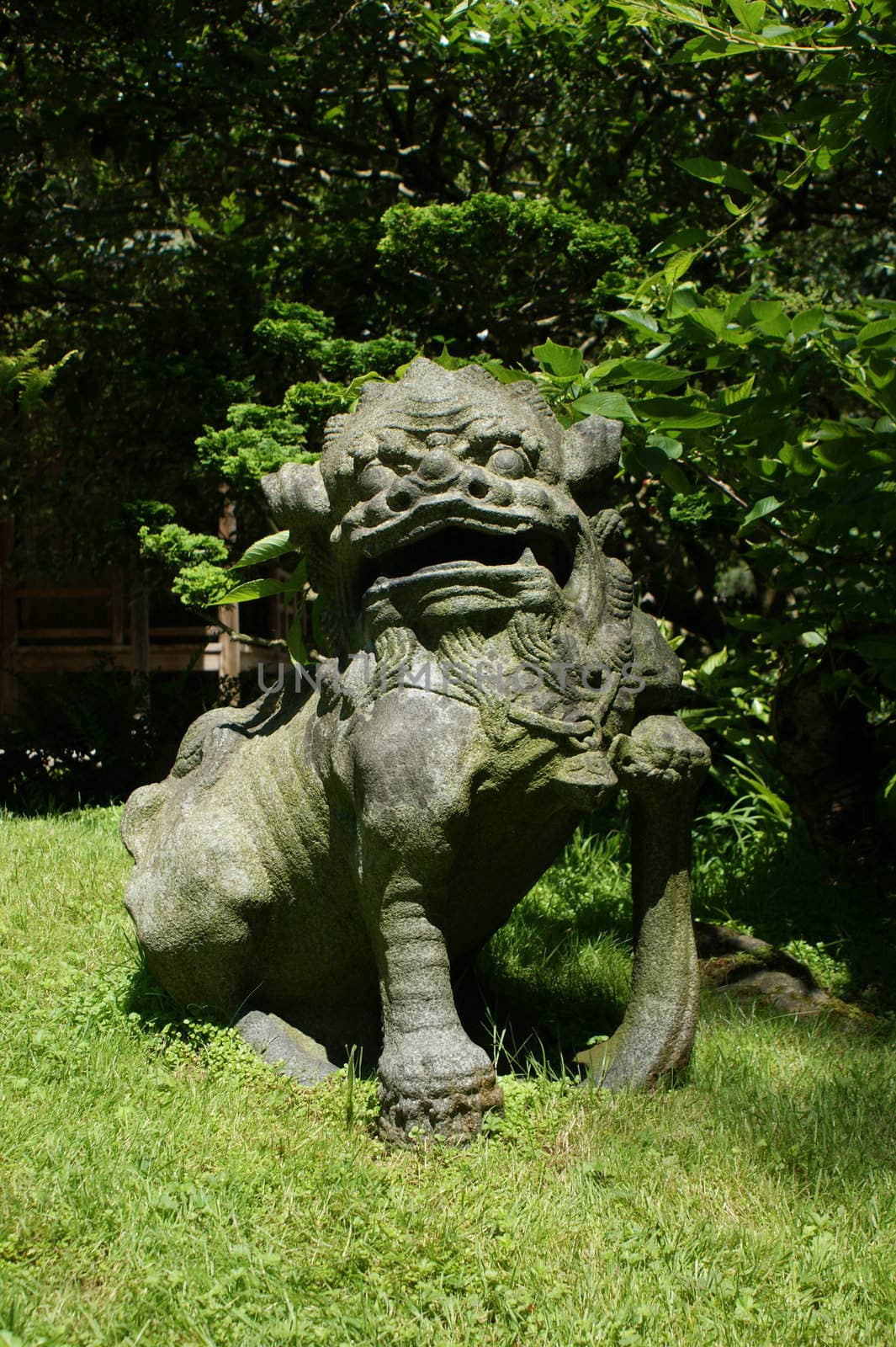 Japanese stone statue of a lion by daboost