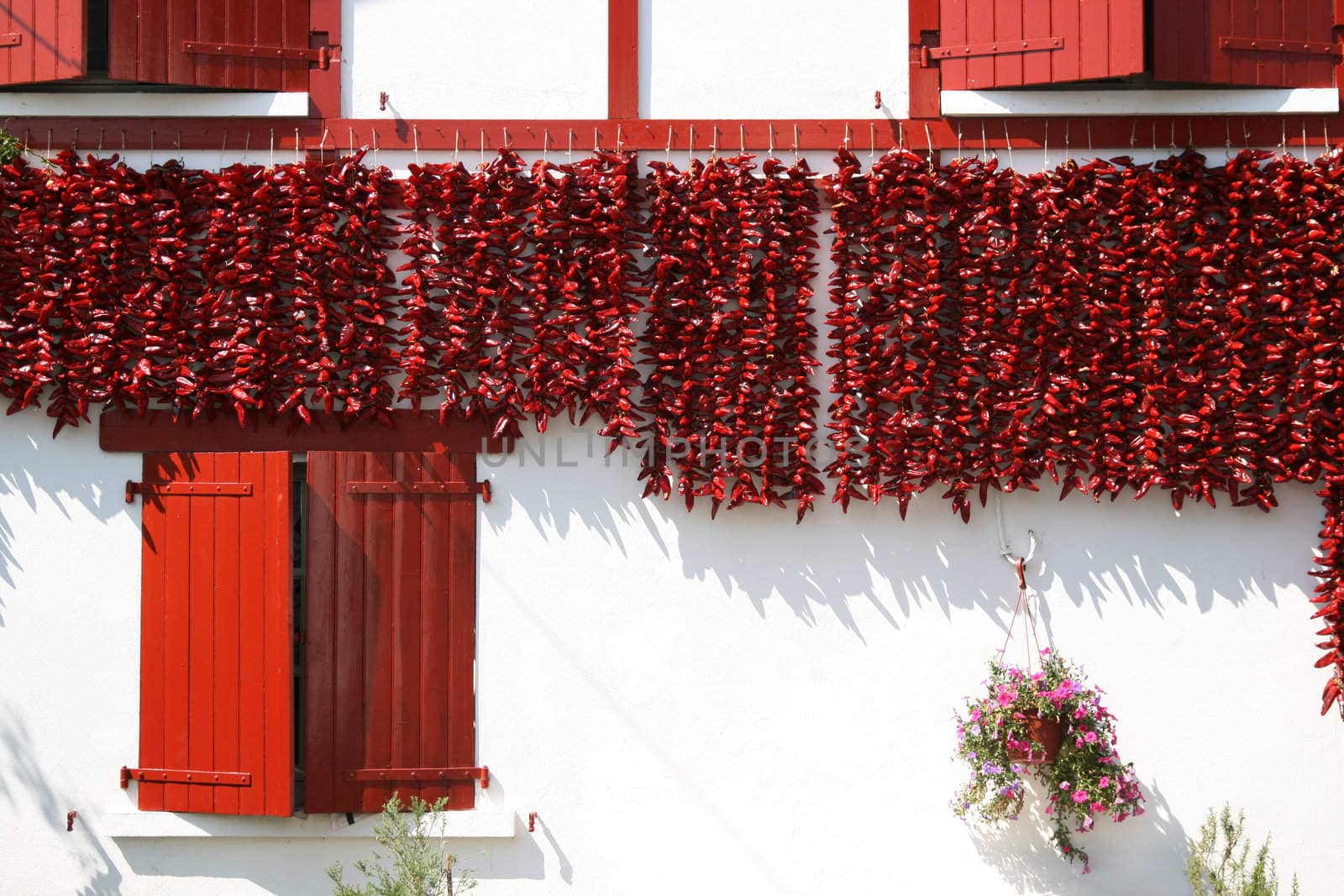 red peppers drying on a house wall