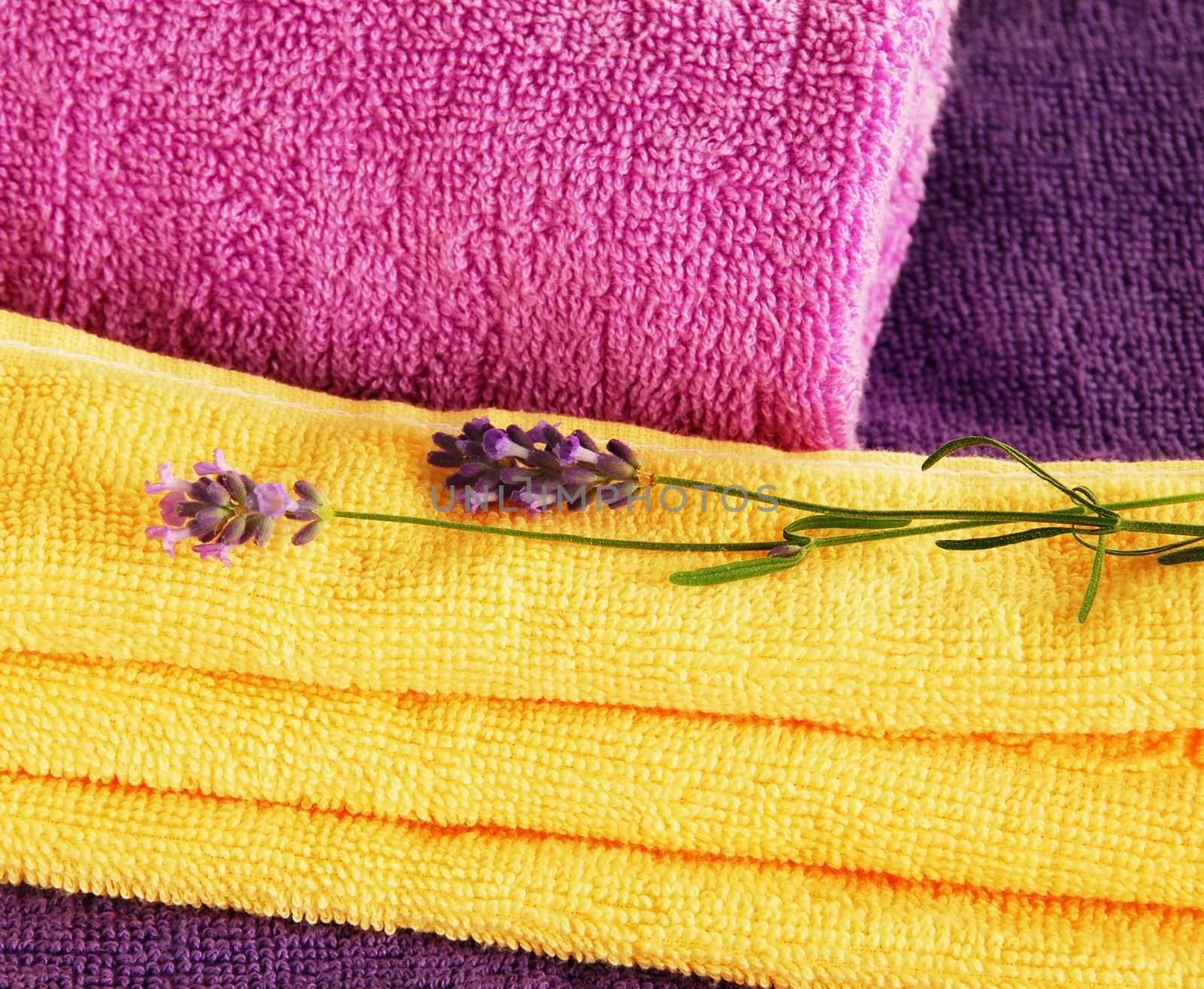 magenta, purple and yellow towels with lavender flowers