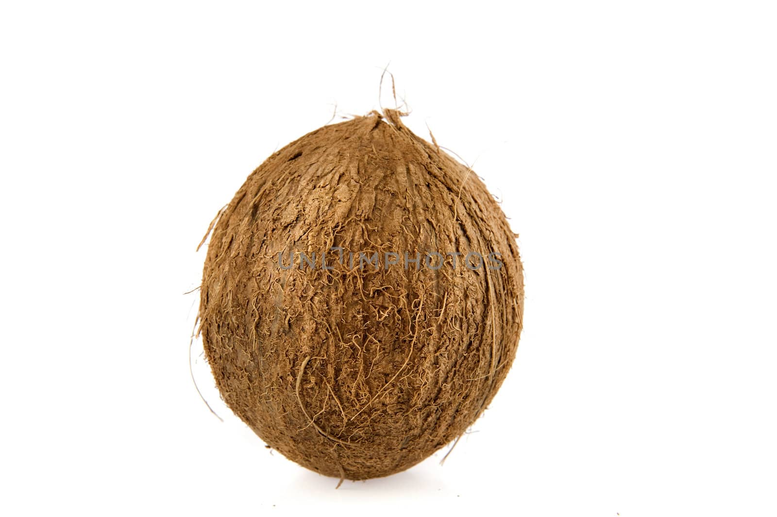 a whole coconut on a white background