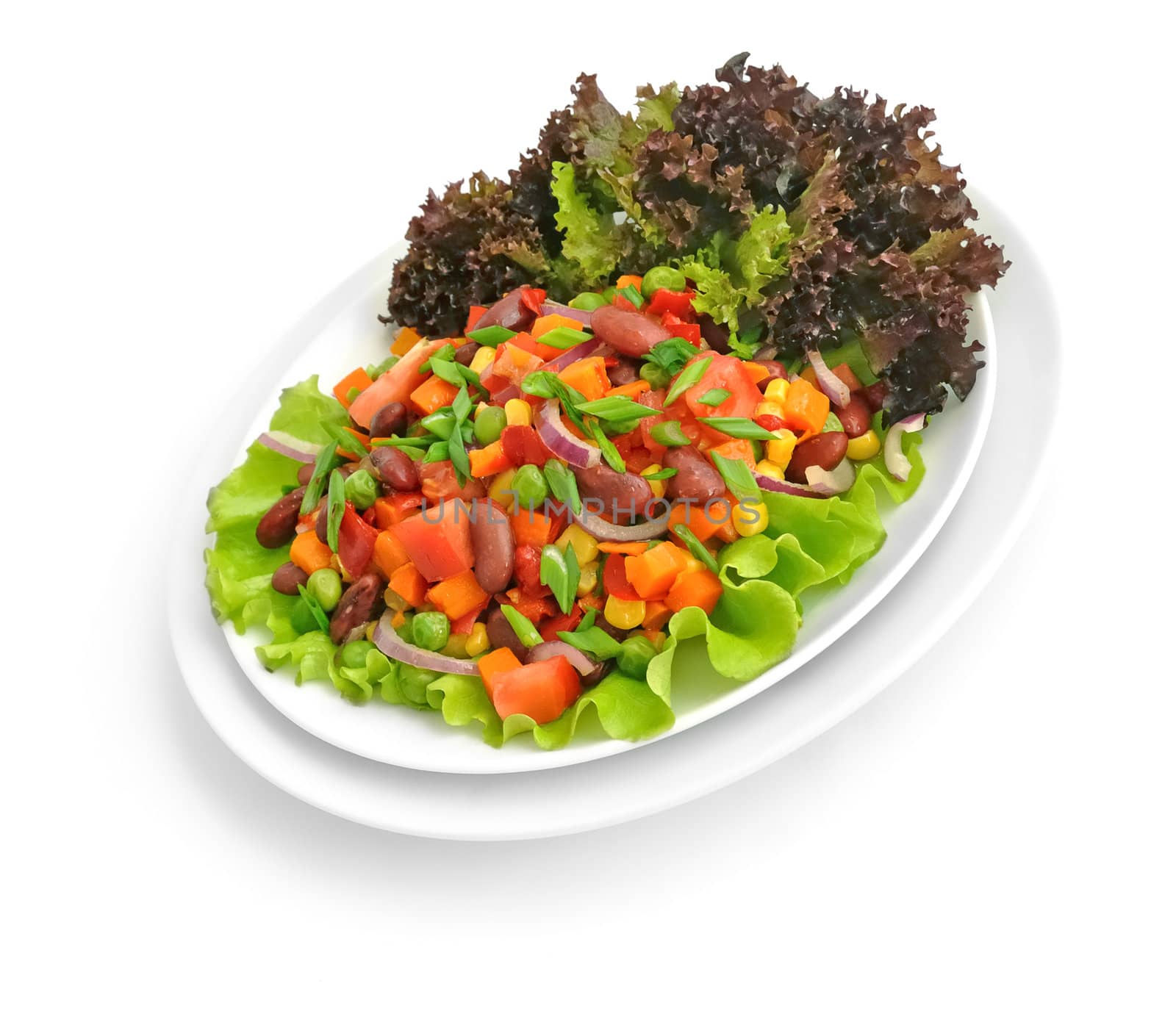 Vegetable salad with beans and Lollo rosso