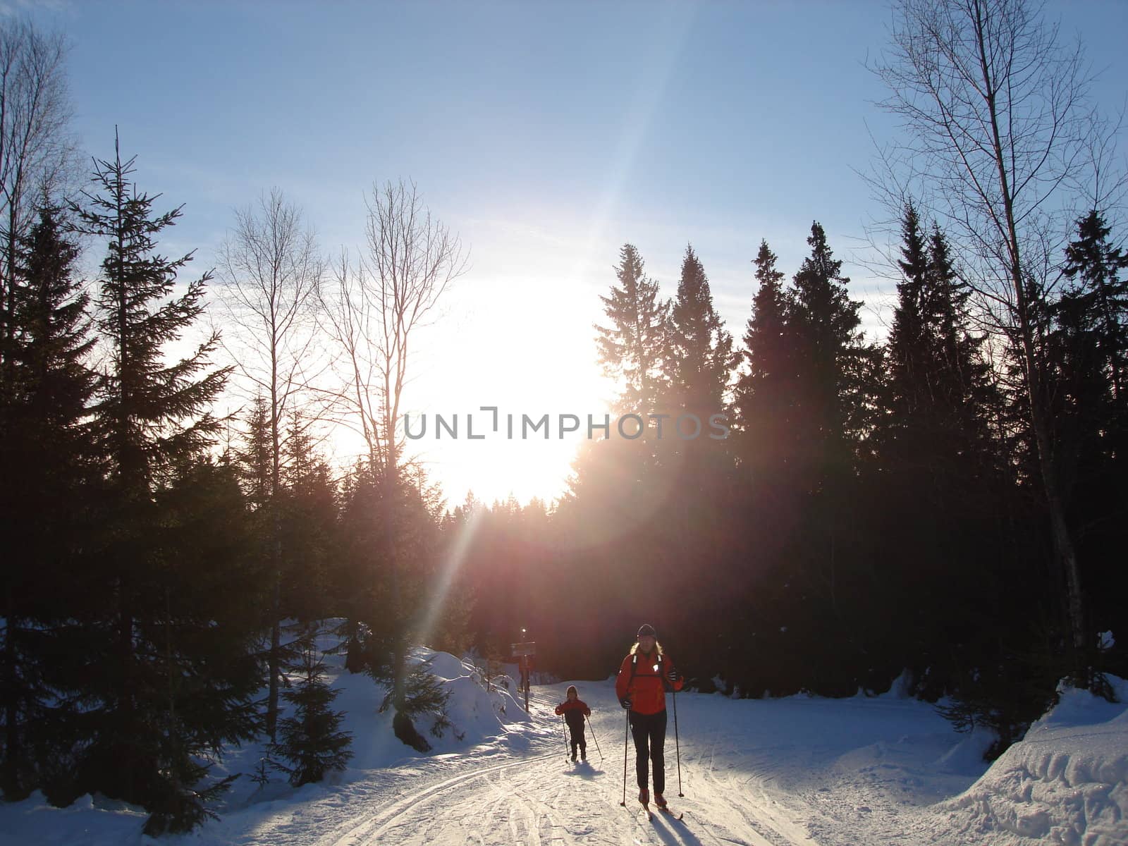 Scandinavian Lifestyle-skiing view by Bildehagen