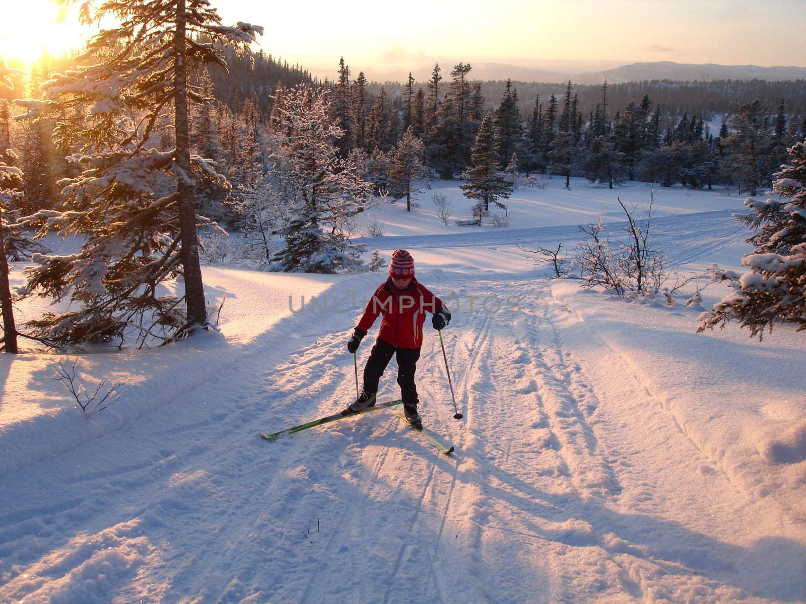 skiing view