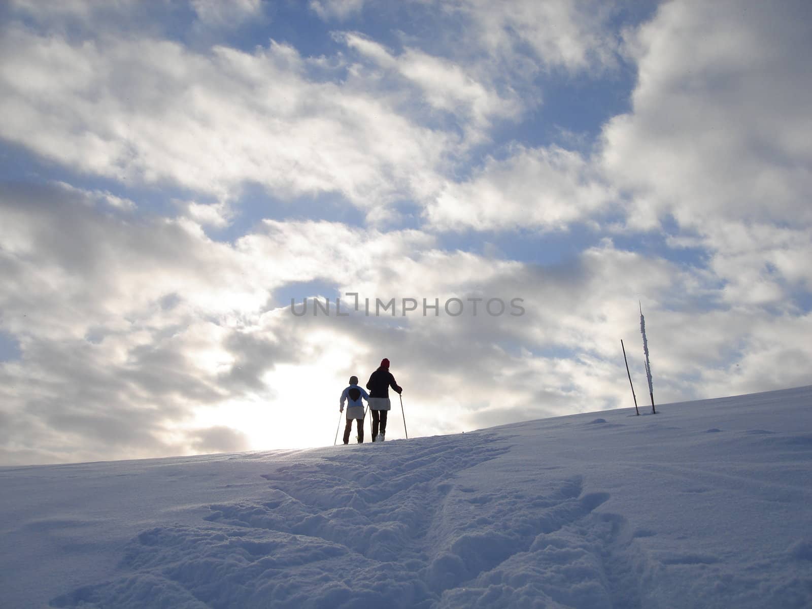 skiing view