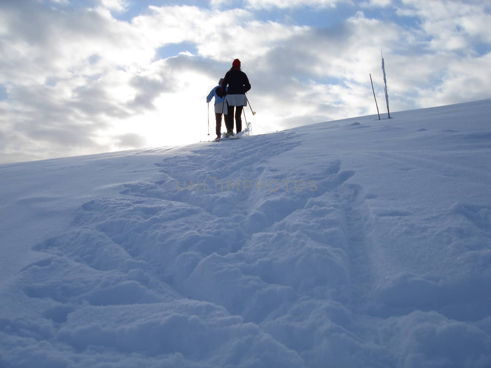 skiing view