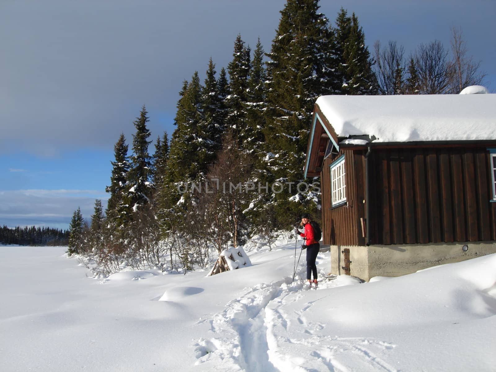 skiing view