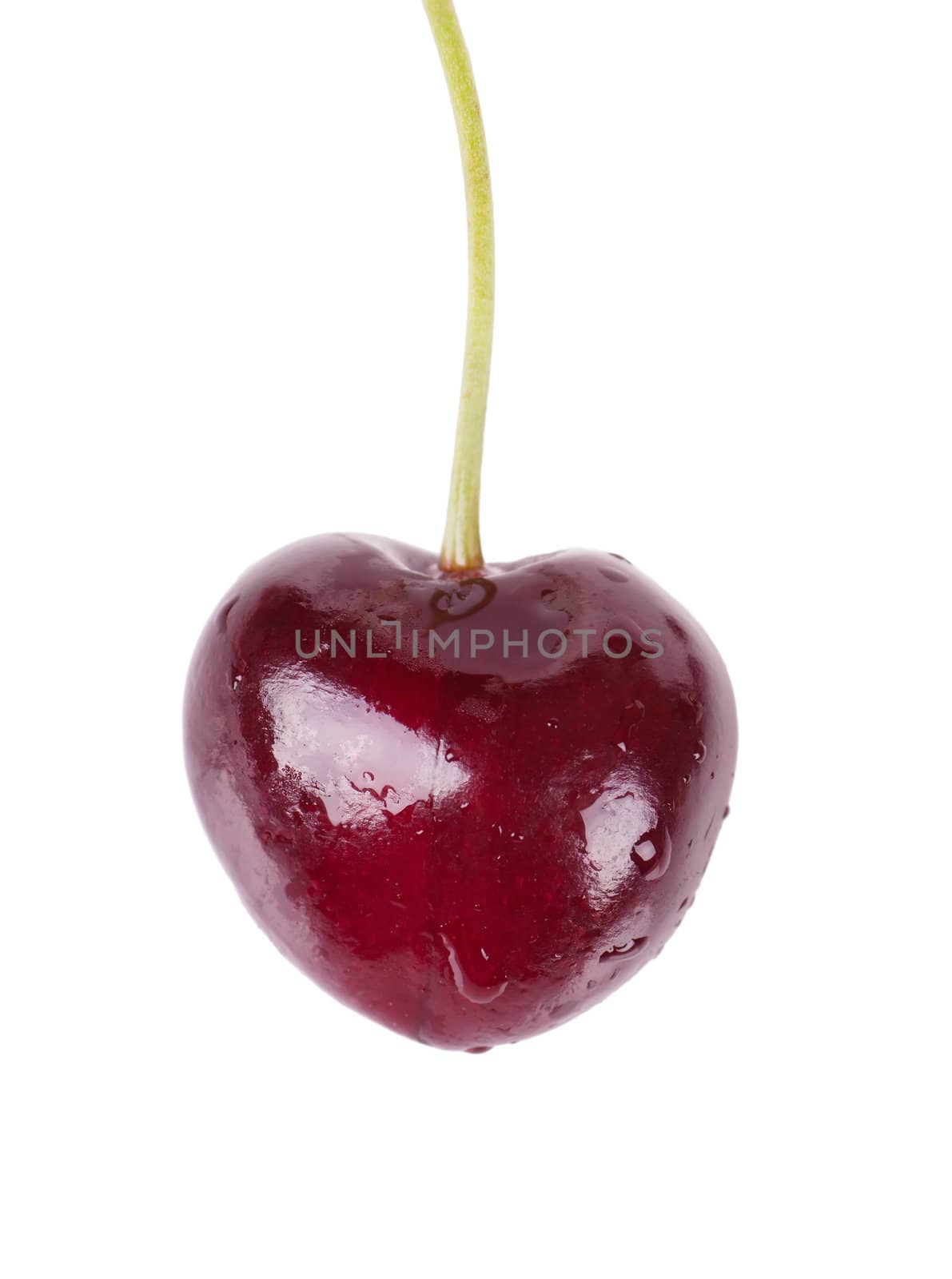Cherry by AGorohov