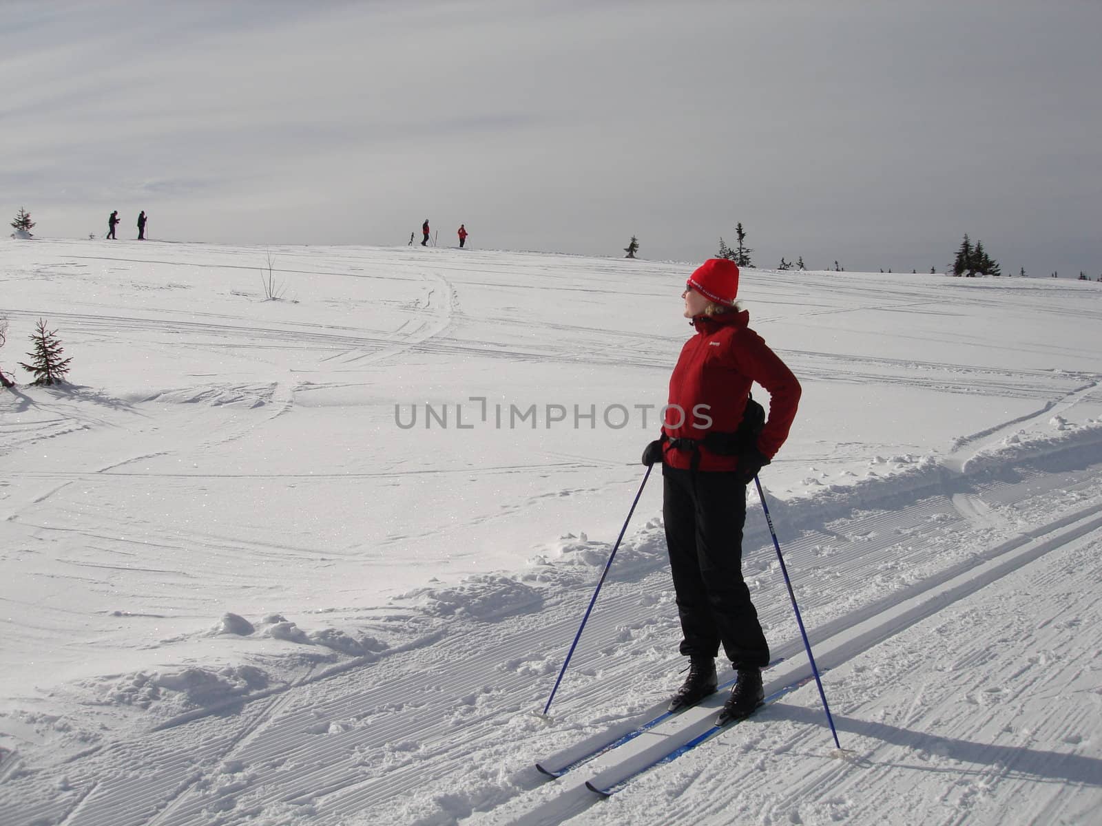 skiing view