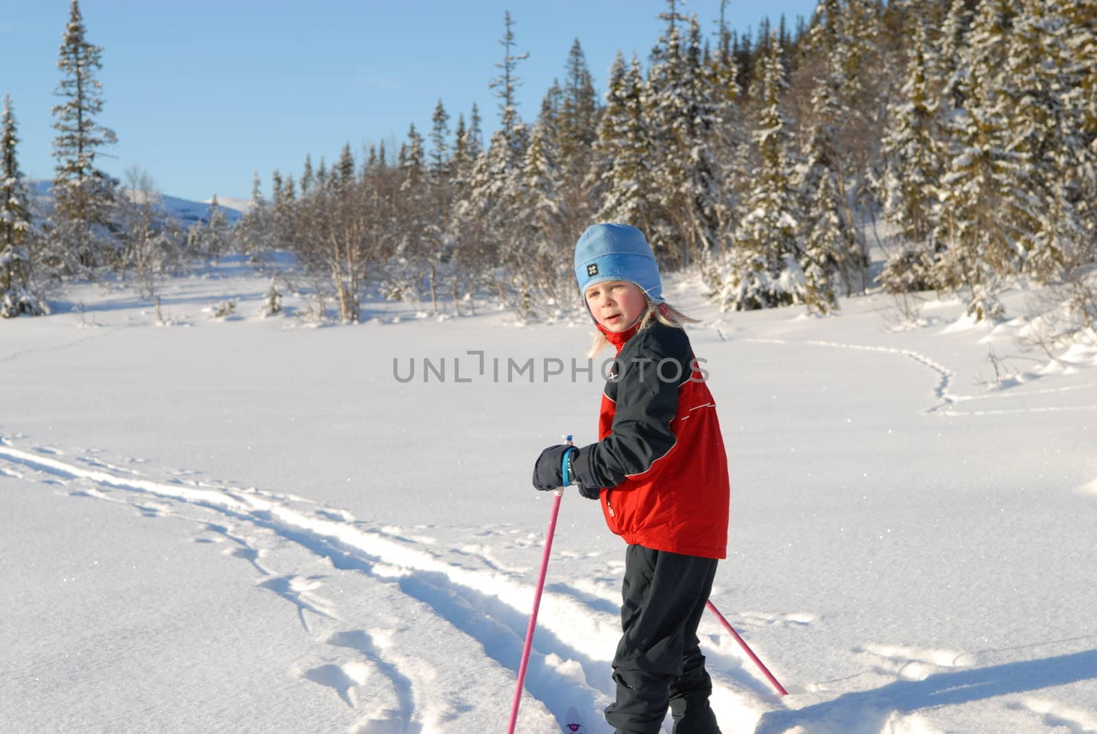 Scandinavian Lifestyle-skiing view by Bildehagen