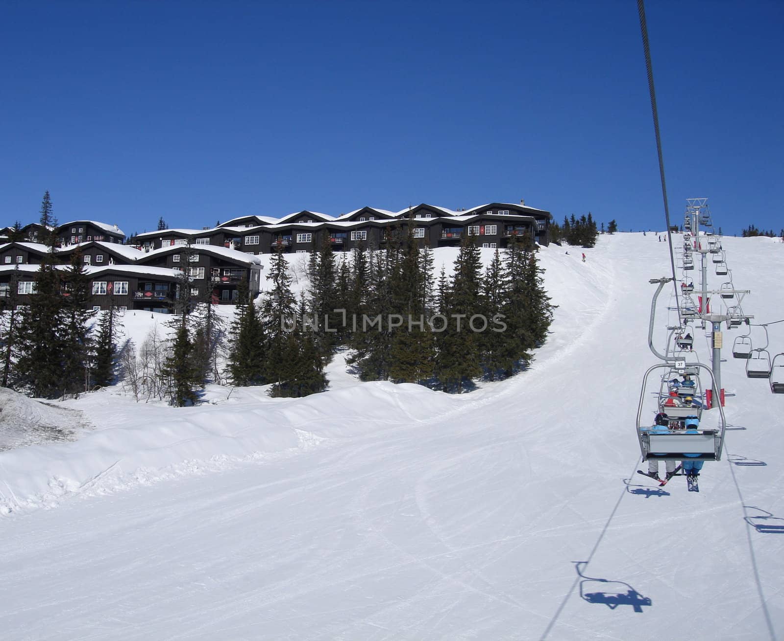 skiing view