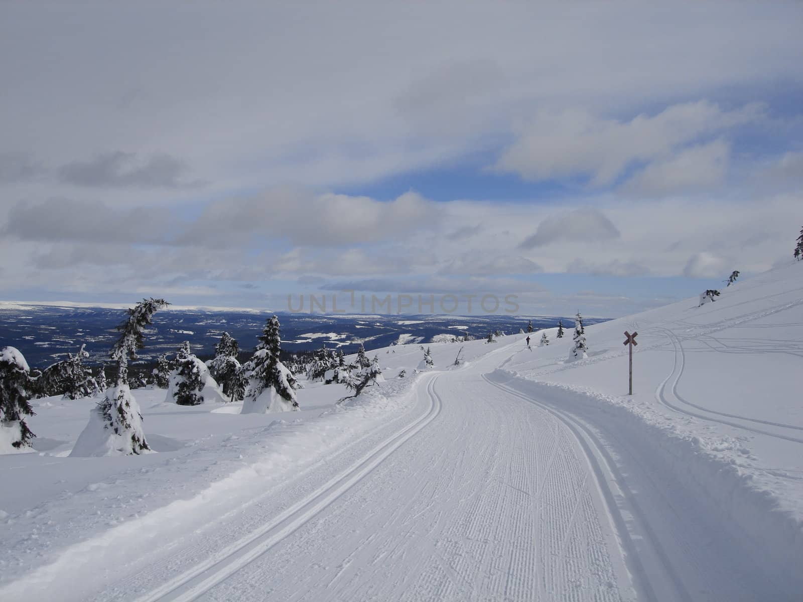 skiing view