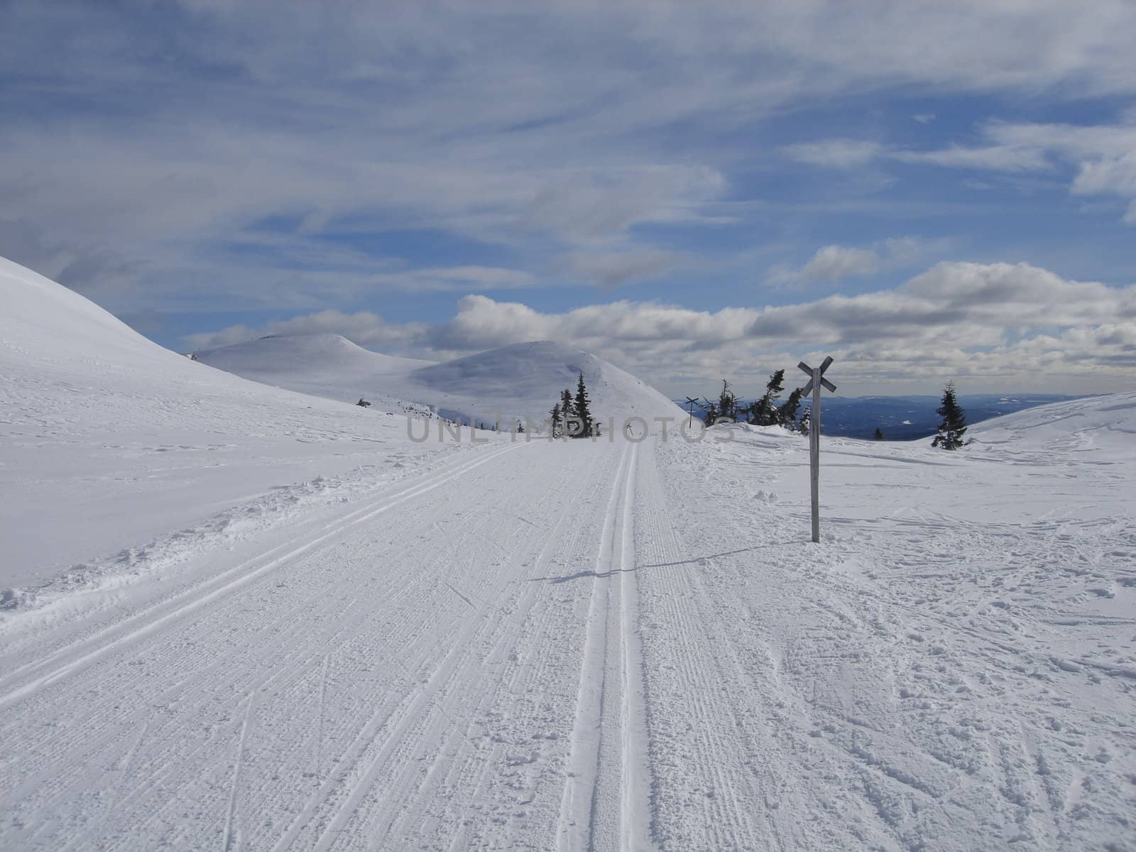 skiing view
