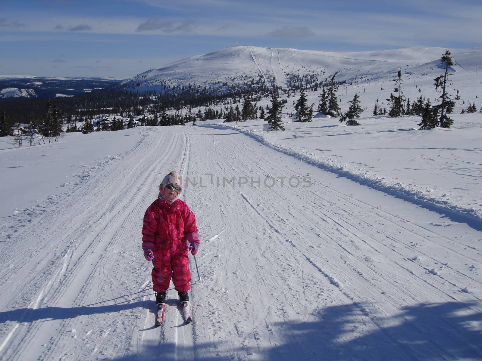 skiing view