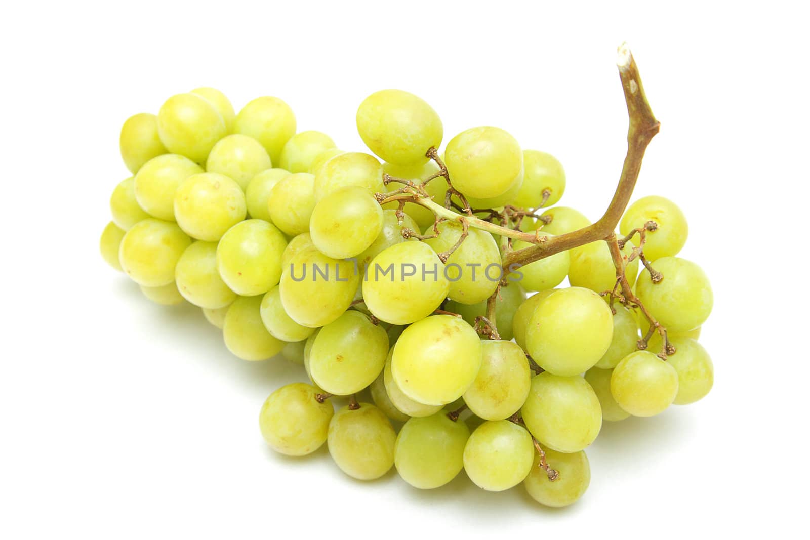 Branch of green grapes isolated on white background