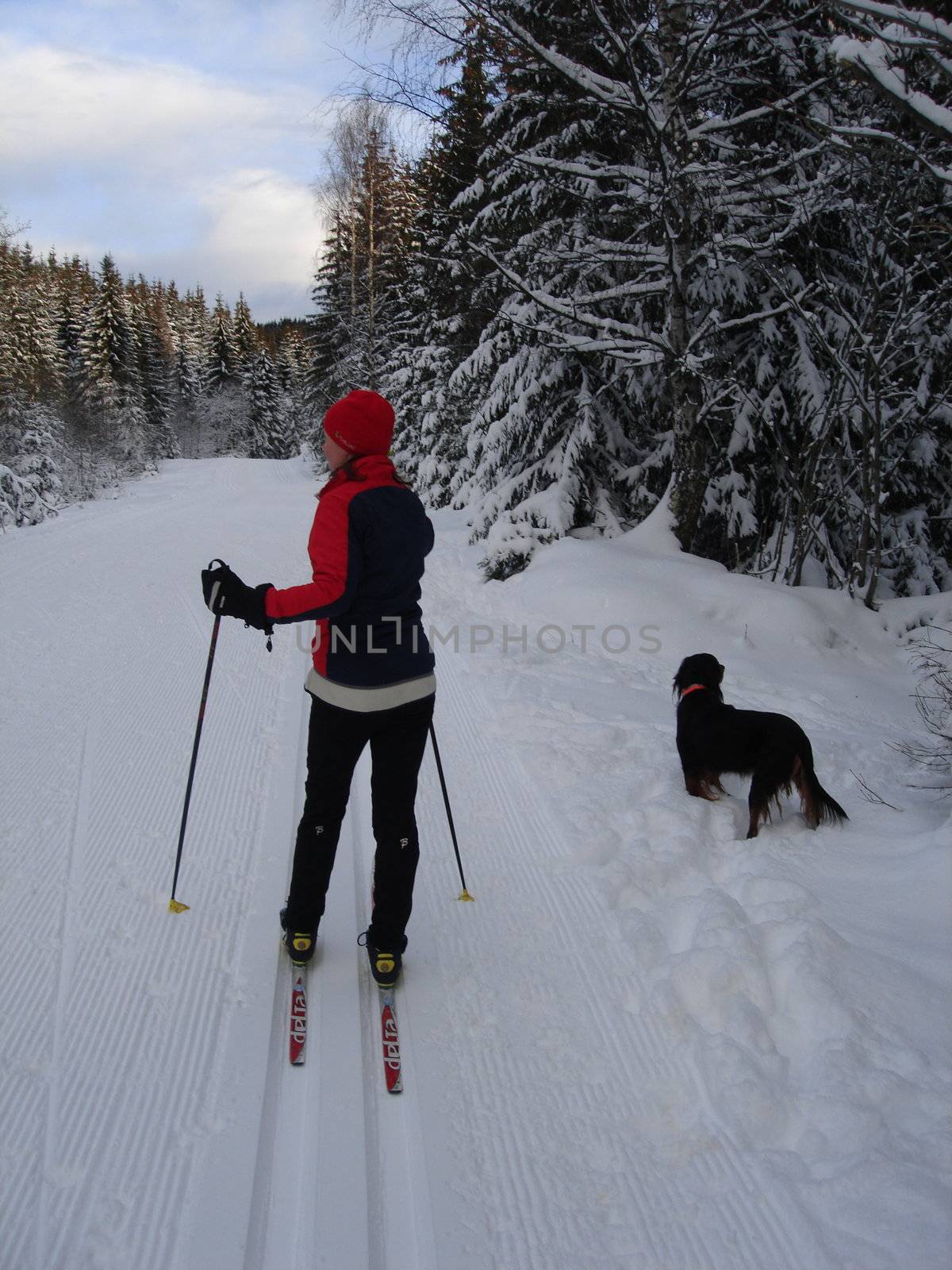 skiing view