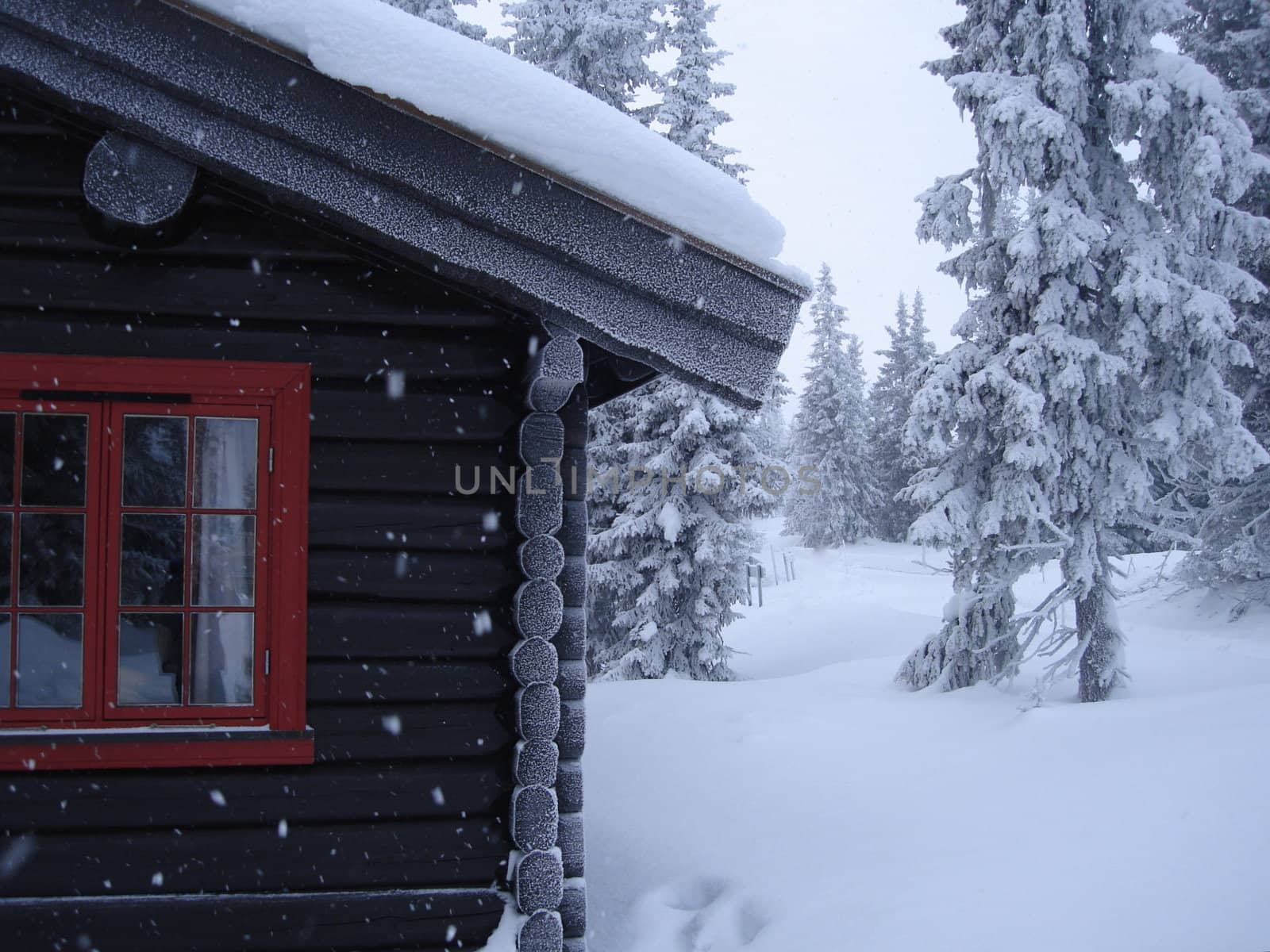 cabin