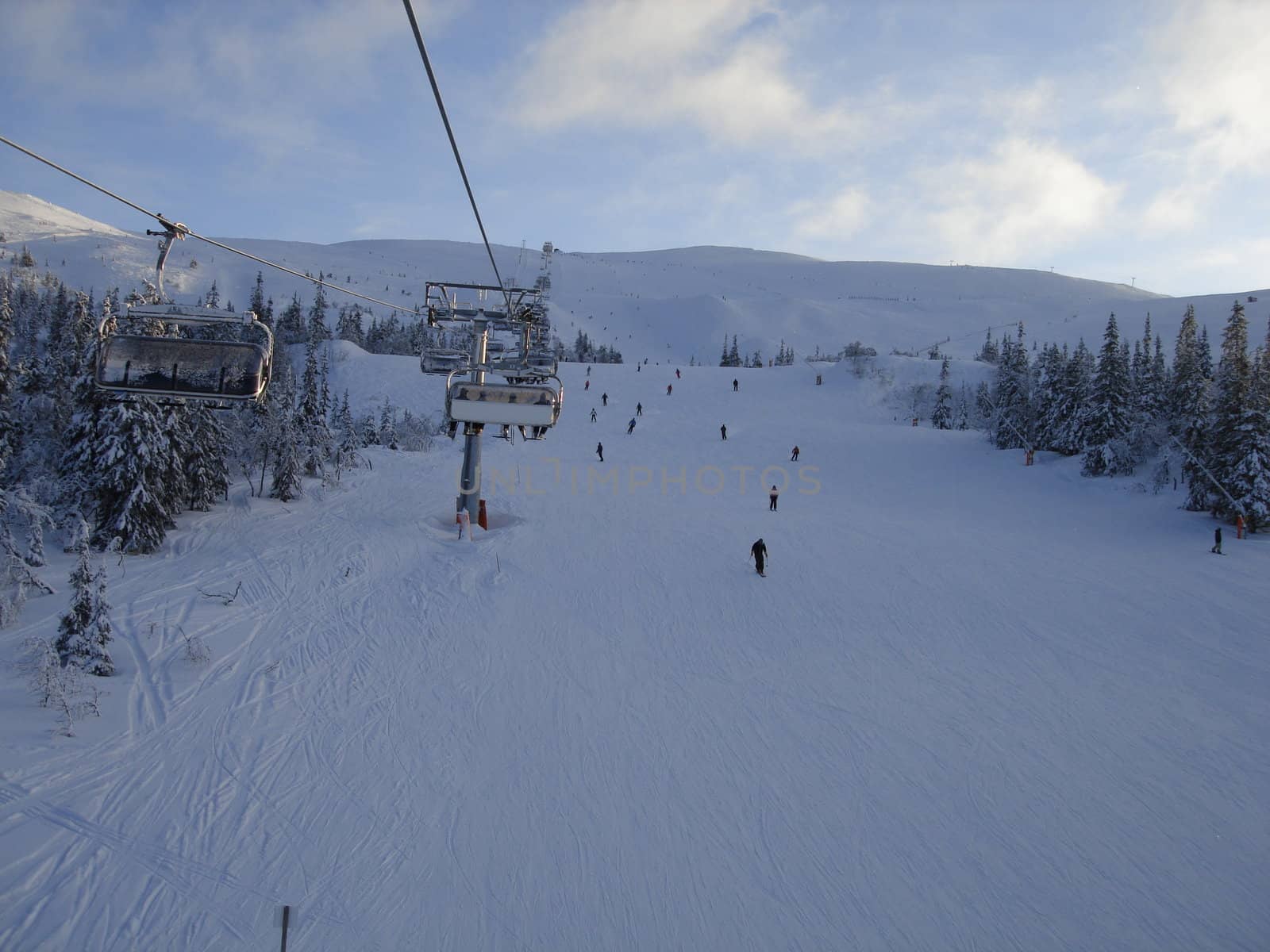 skiing view