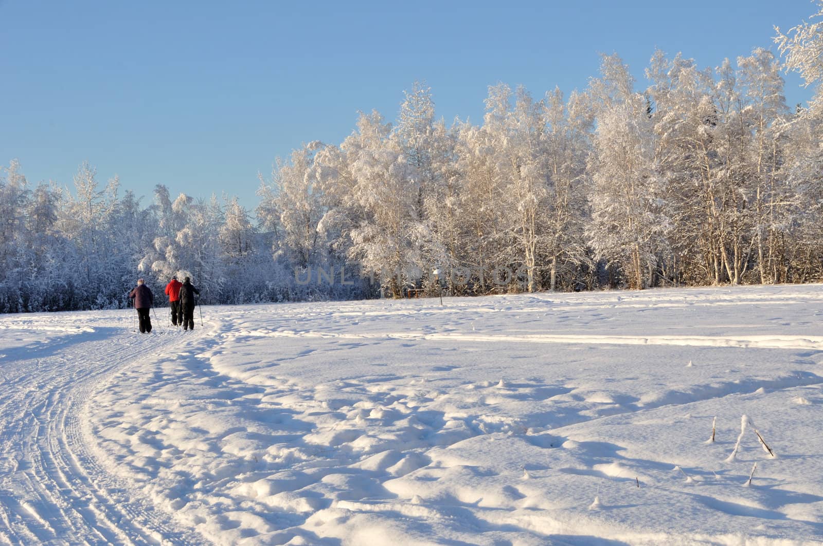 Multi-Use Recreation Trail during Alaska Winter
