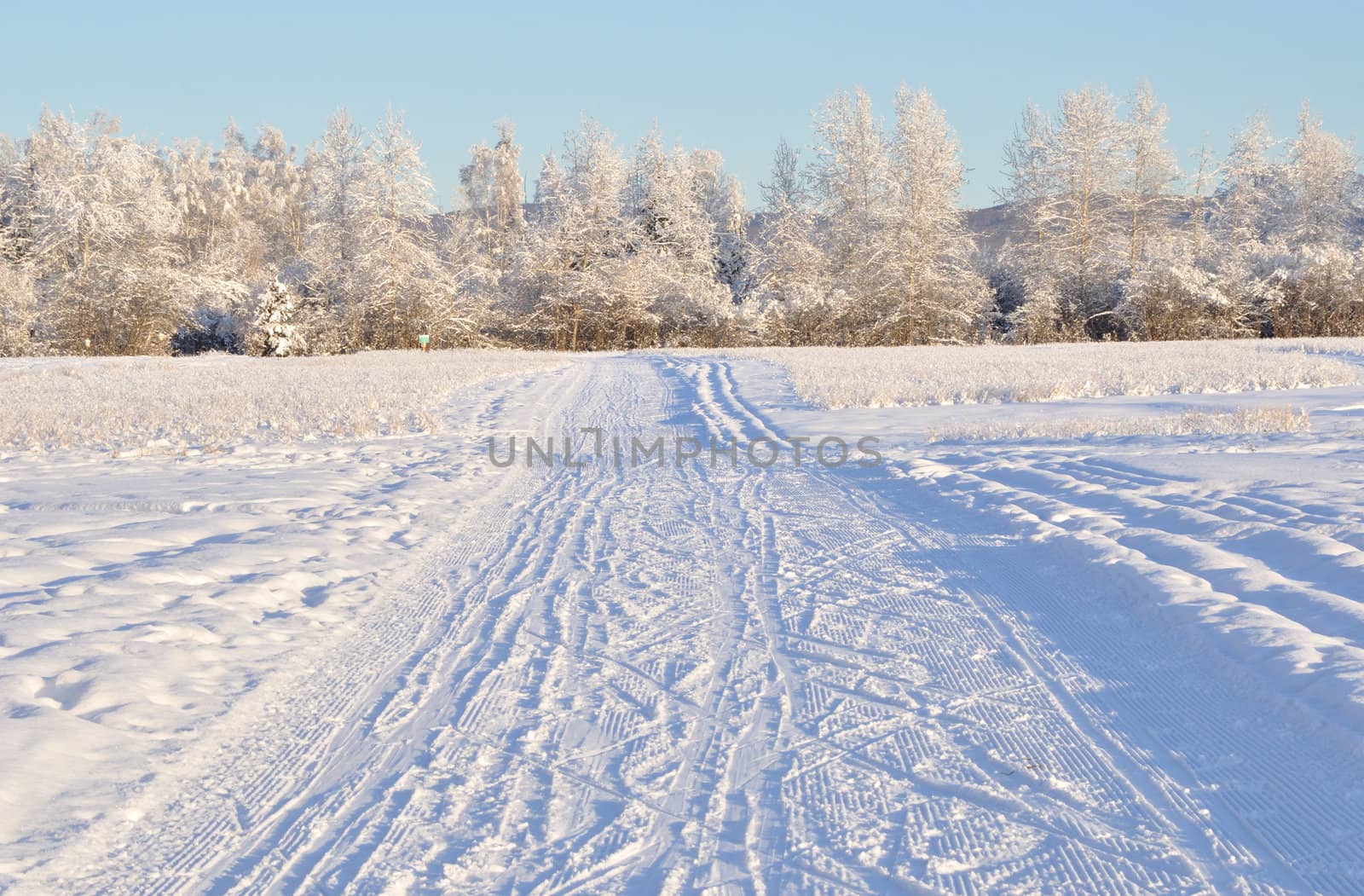 Multi-Use Recreation Trail during Alaska Winter 