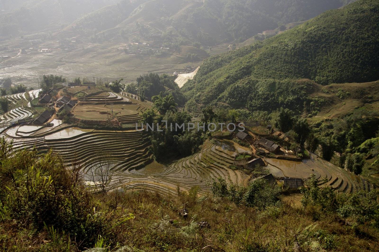 Rice fields occupy a large area in the northern mountains. The forestback year after year. Storms and monsoon gully must still be able toclear the land fertile.