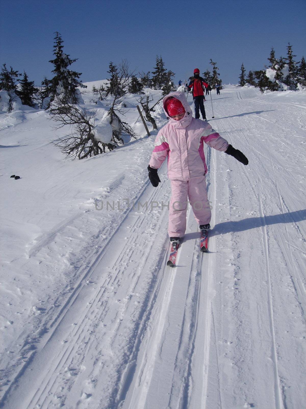 skiing view