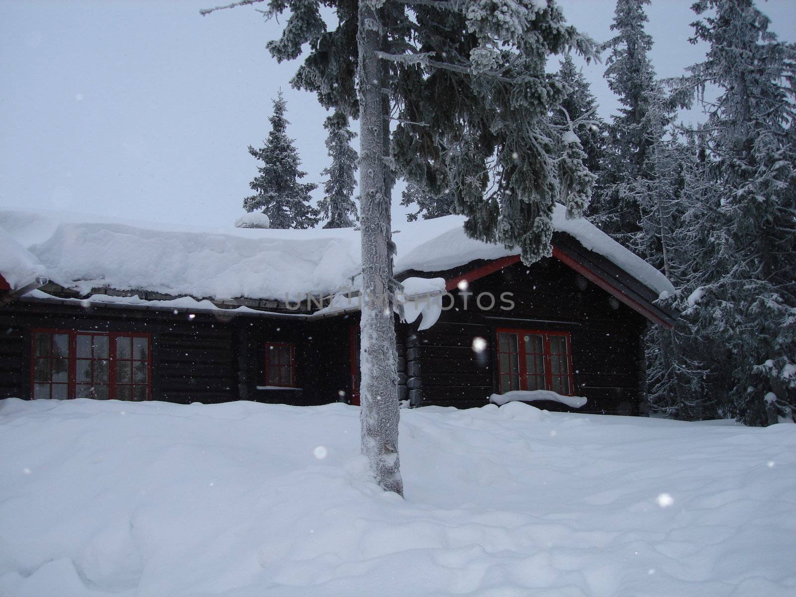skiing view