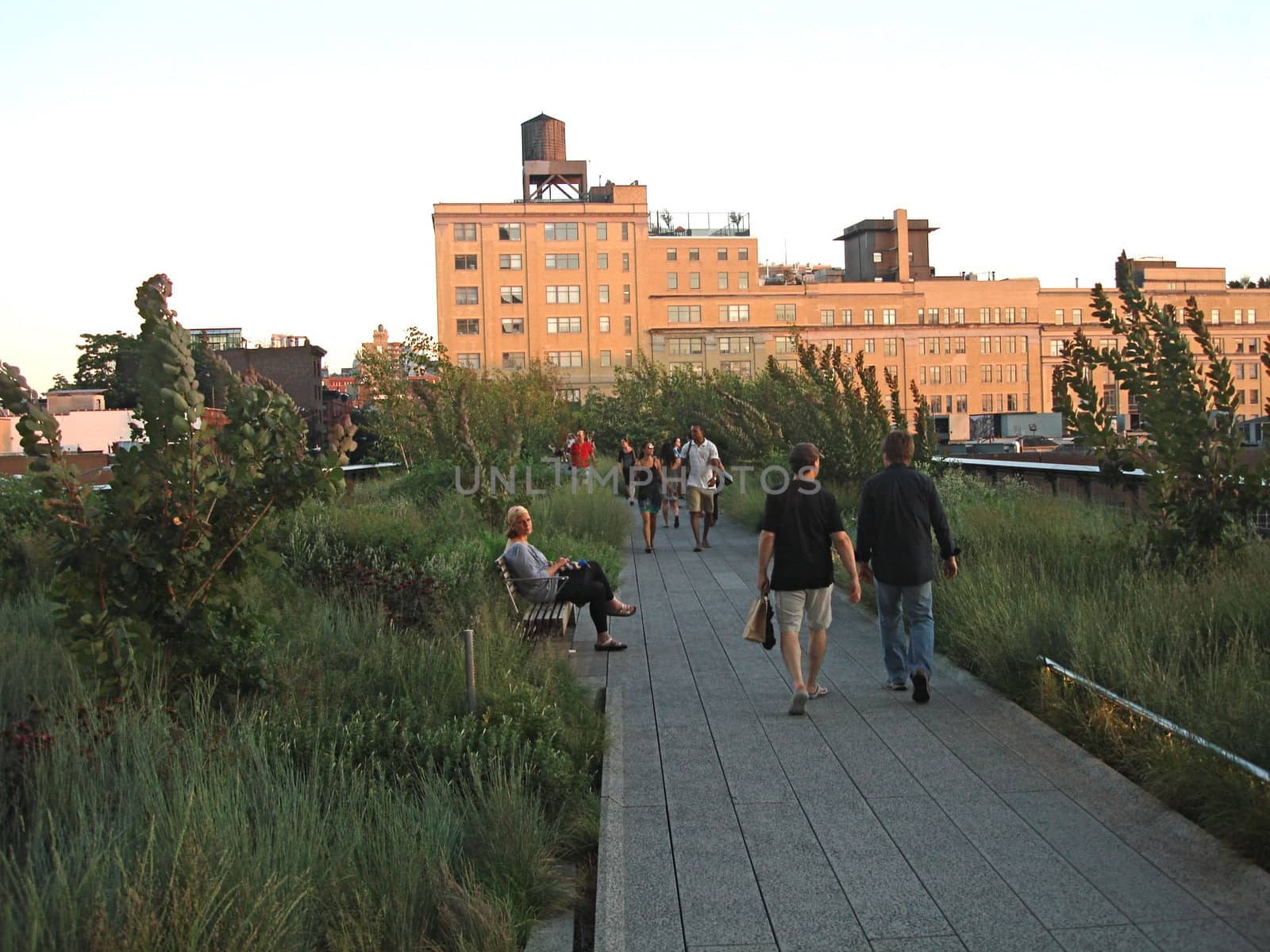 people leisure in the park