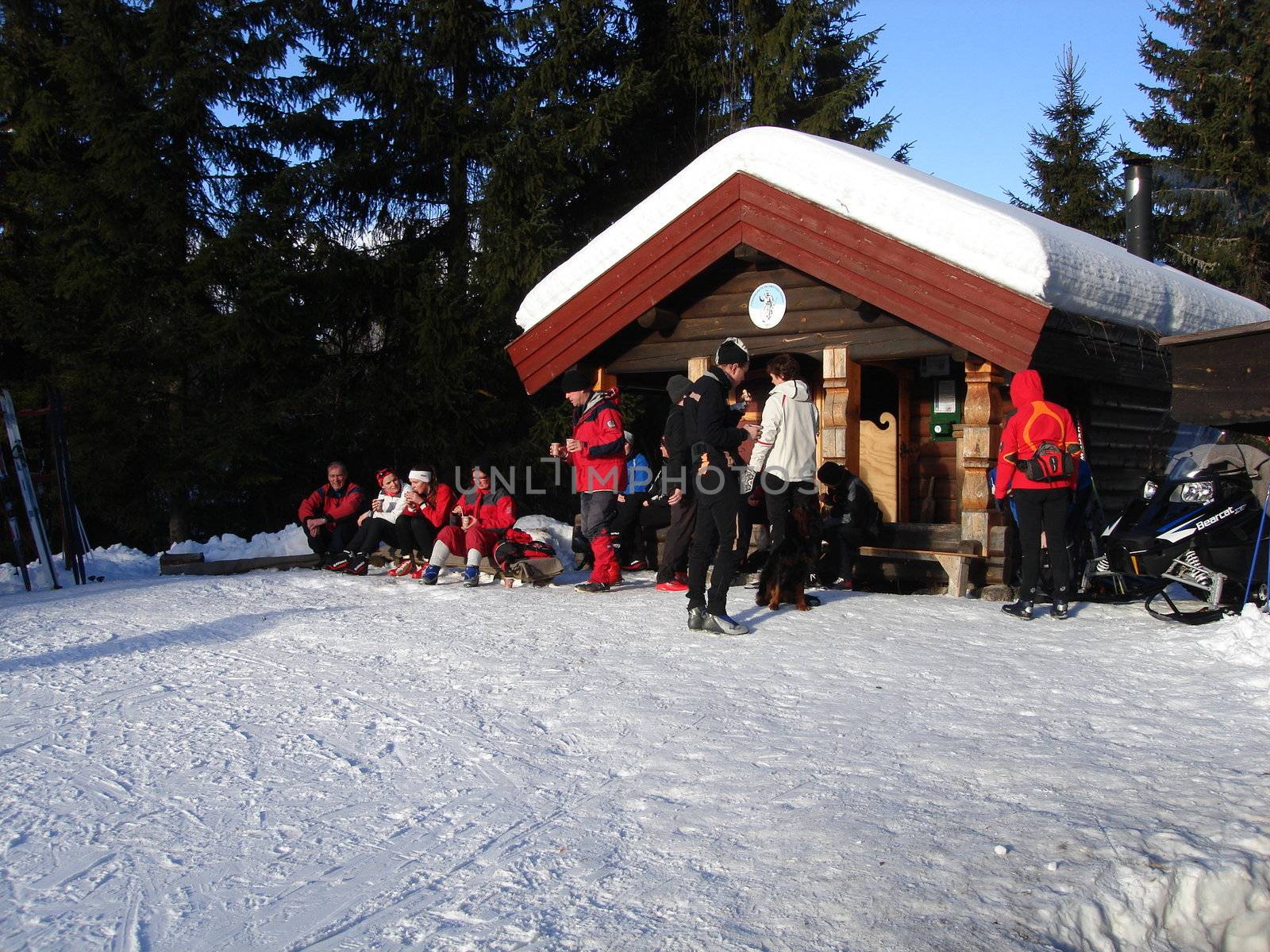 skiing view