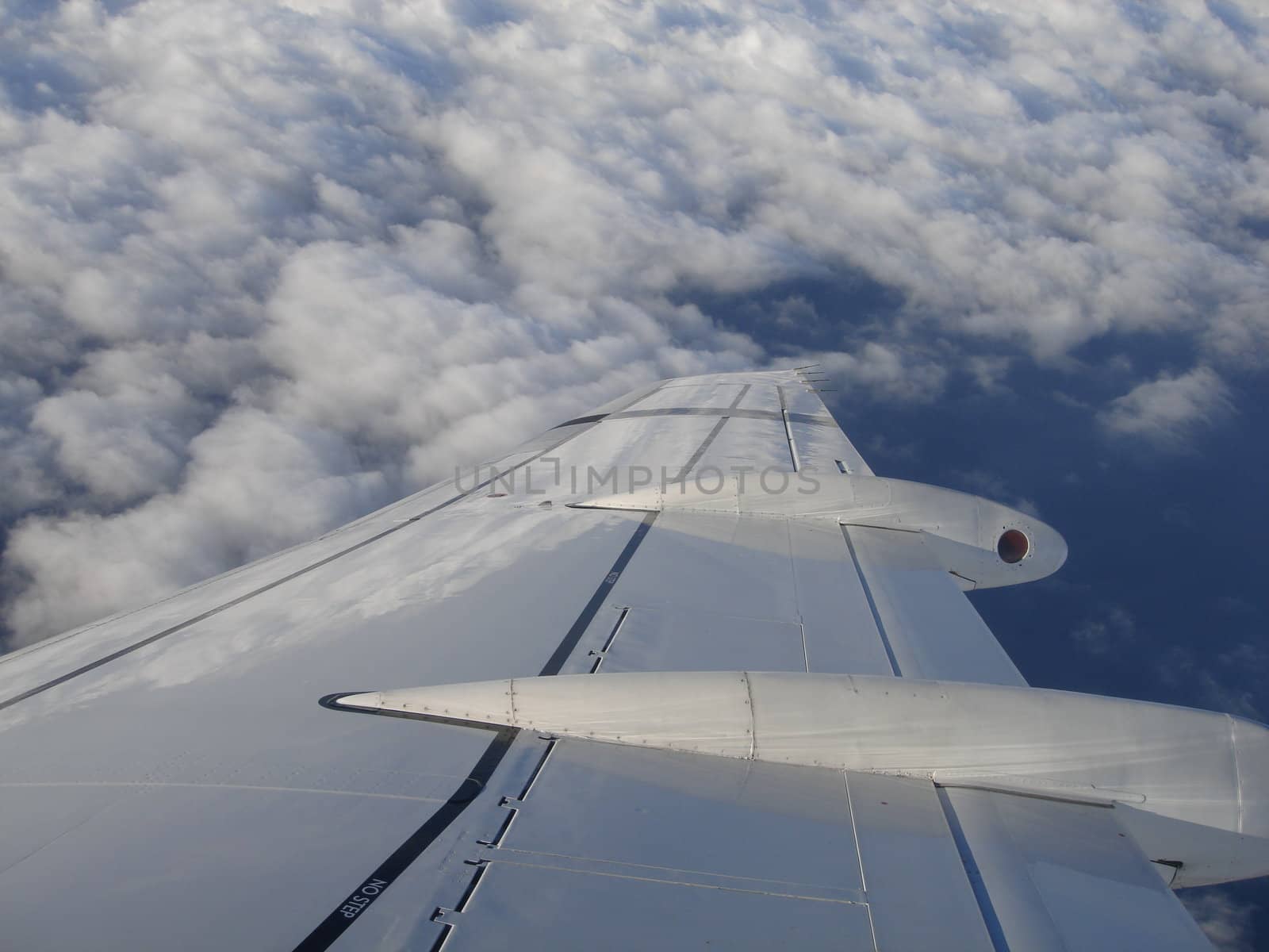 bird view from airplane
