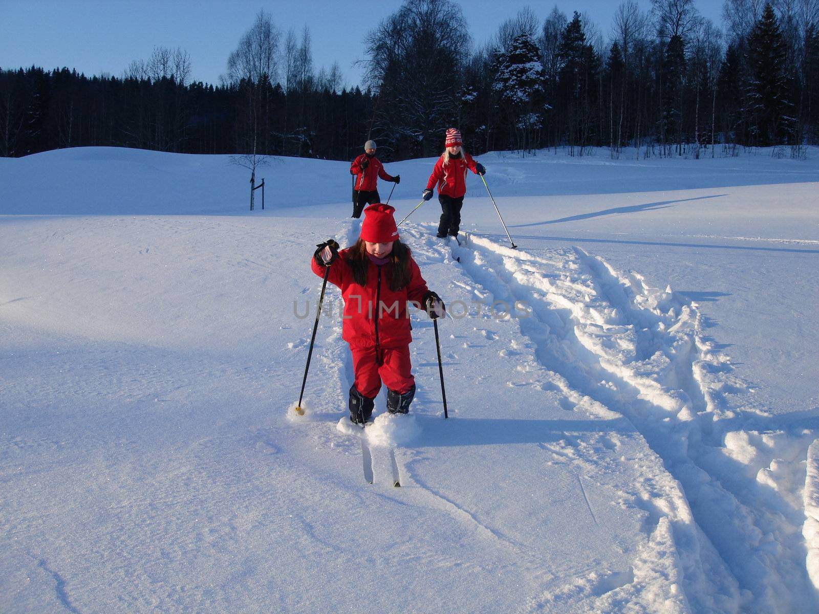 skiing view