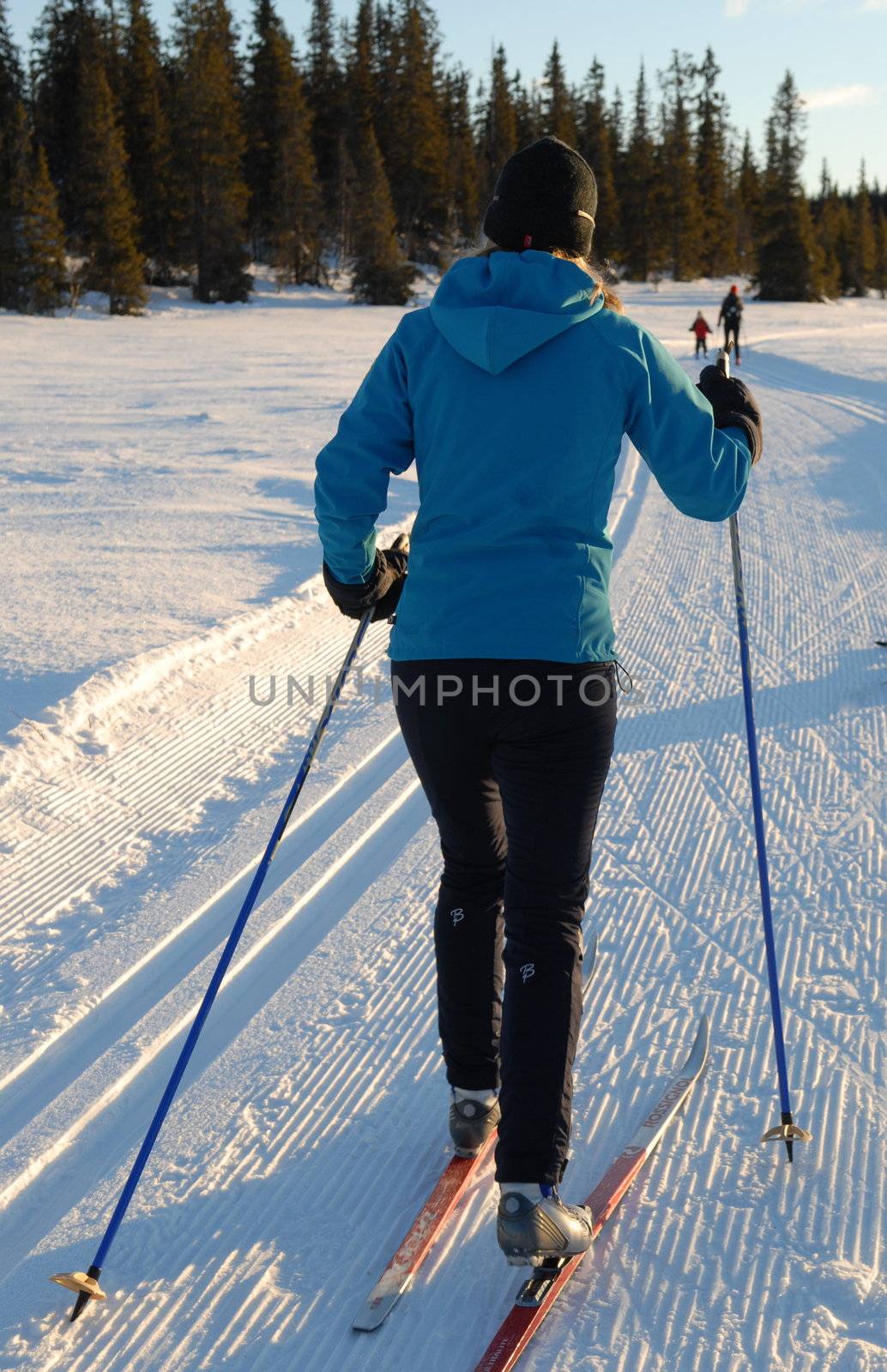 skiing view